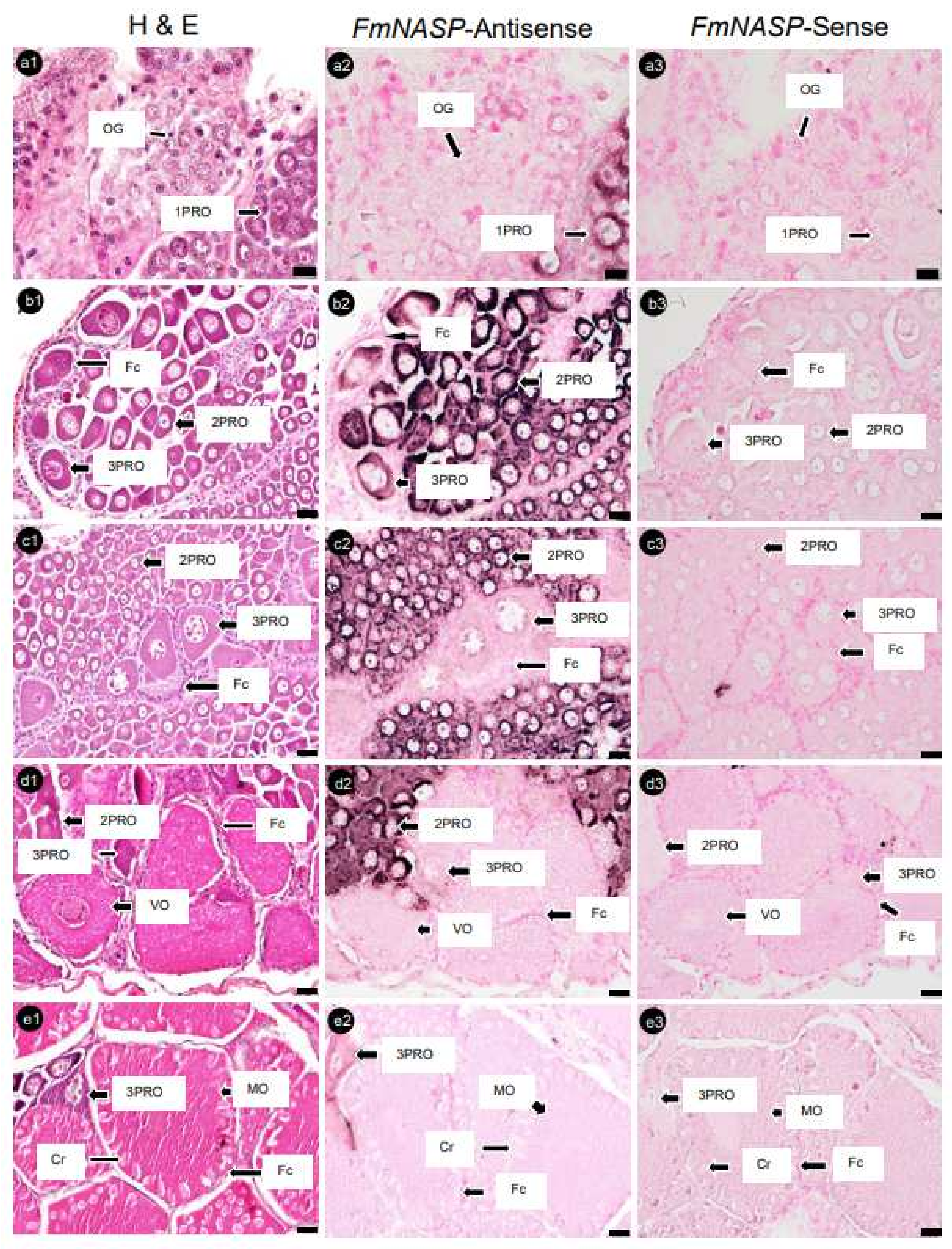 Cimb 45 00360 g007 Cimb 45 00360 g007