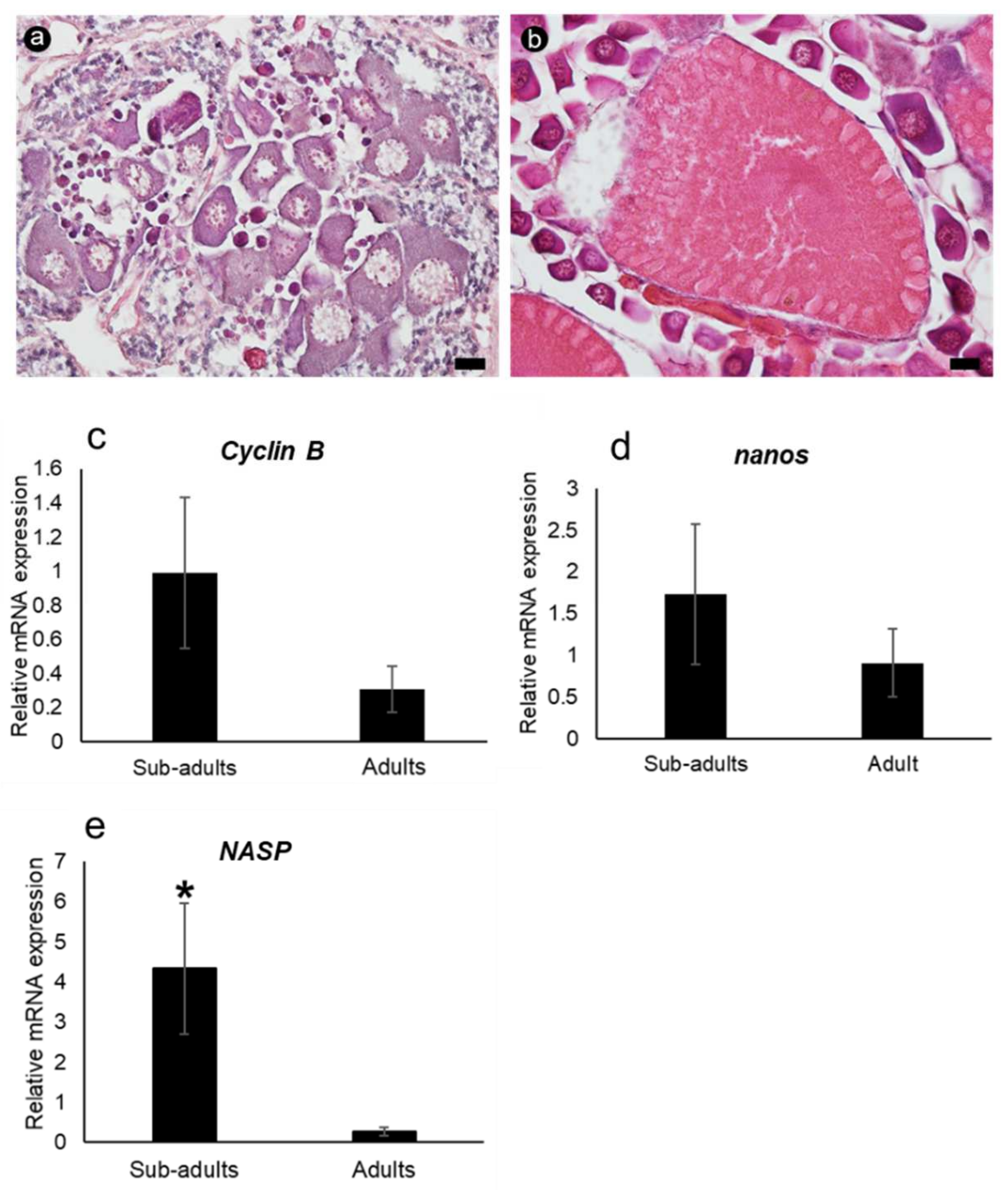 Cimb 45 00360 g008 Cimb 45 00360 g008