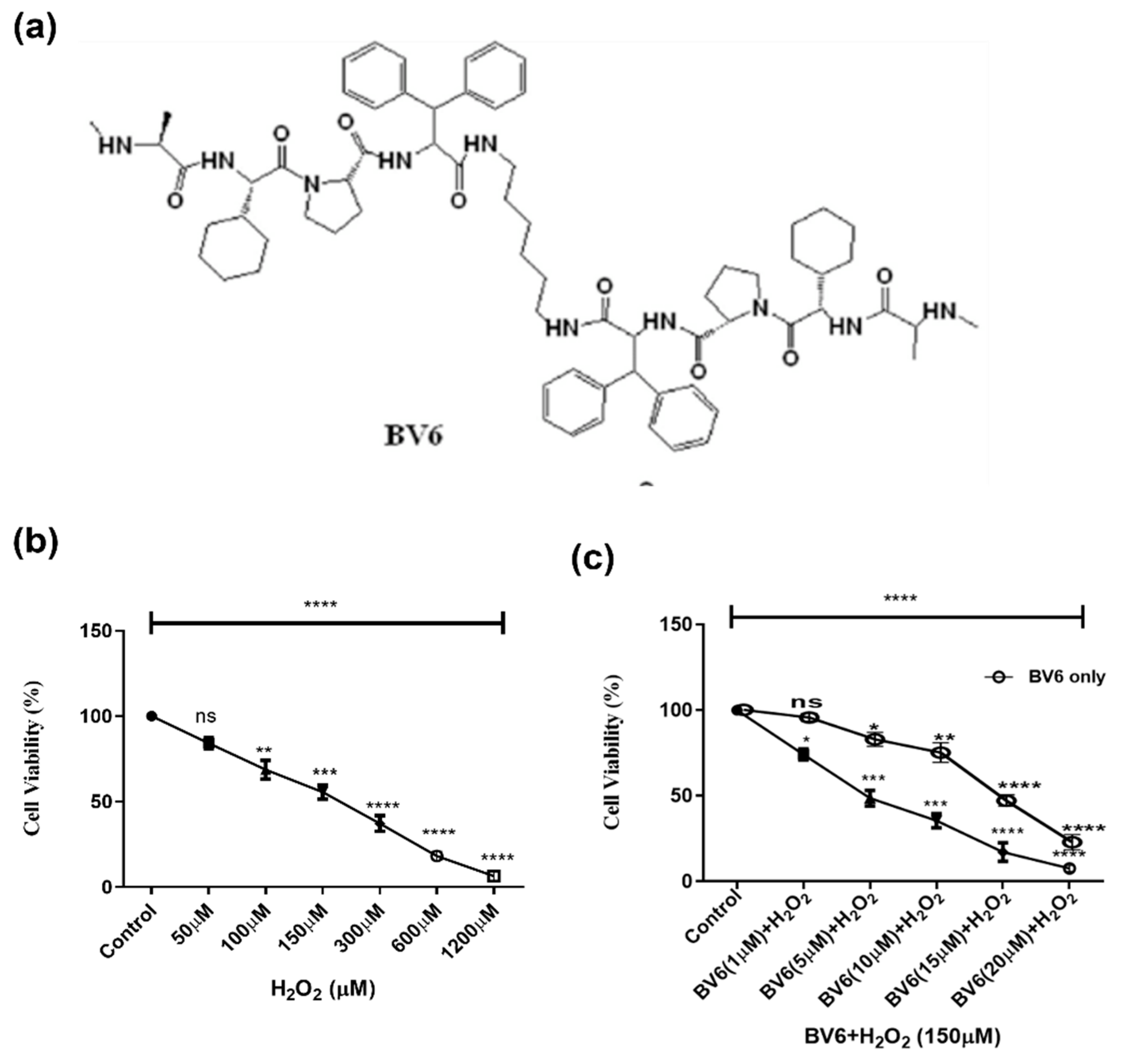 Cimb 45 00363 g001 Cimb 45 00363 g001