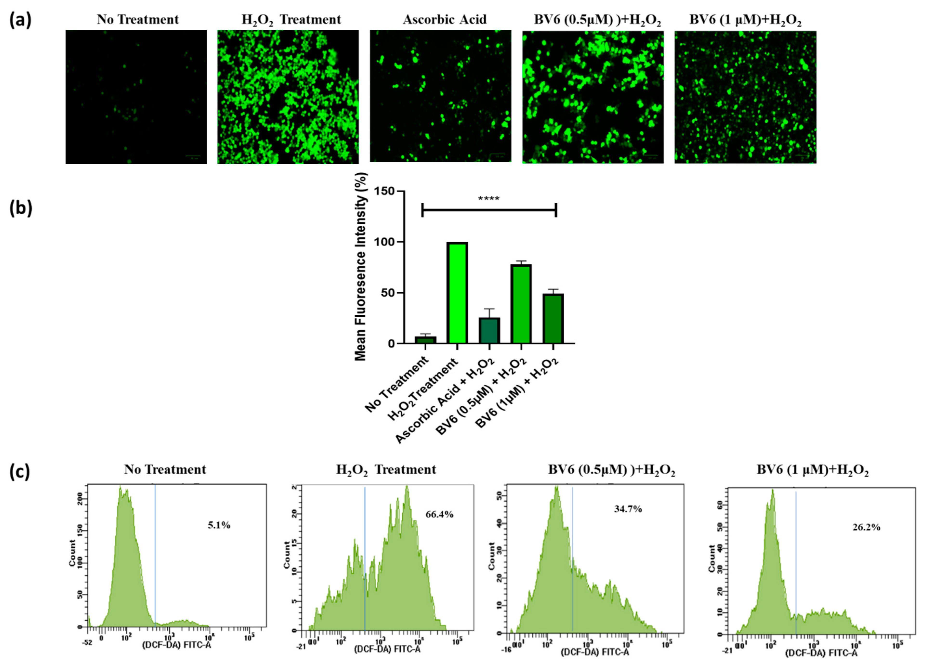 Cimb 45 00363 g002 Cimb 45 00363 g002