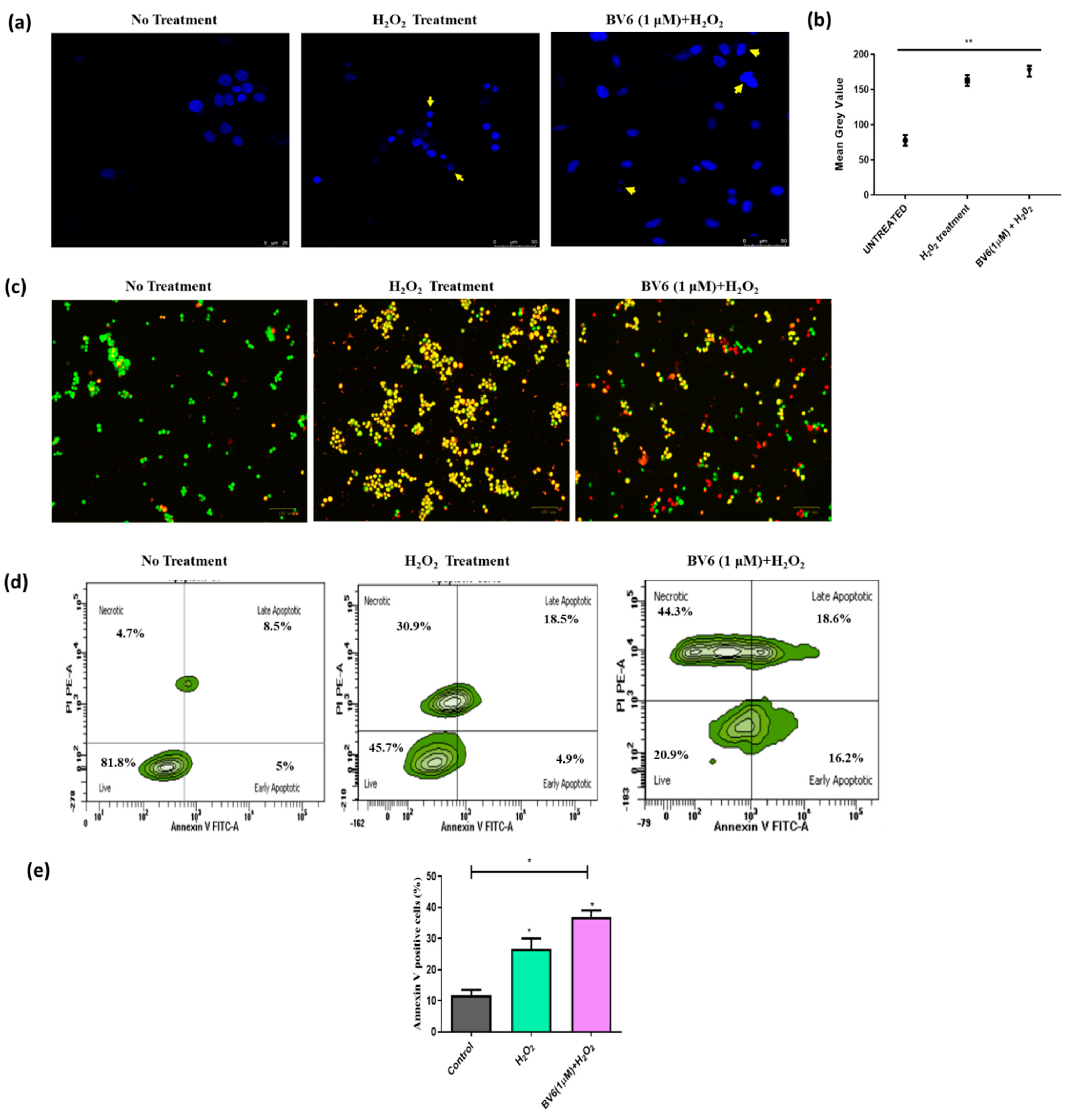 Cimb 45 00363 g003 Cimb 45 00363 g003