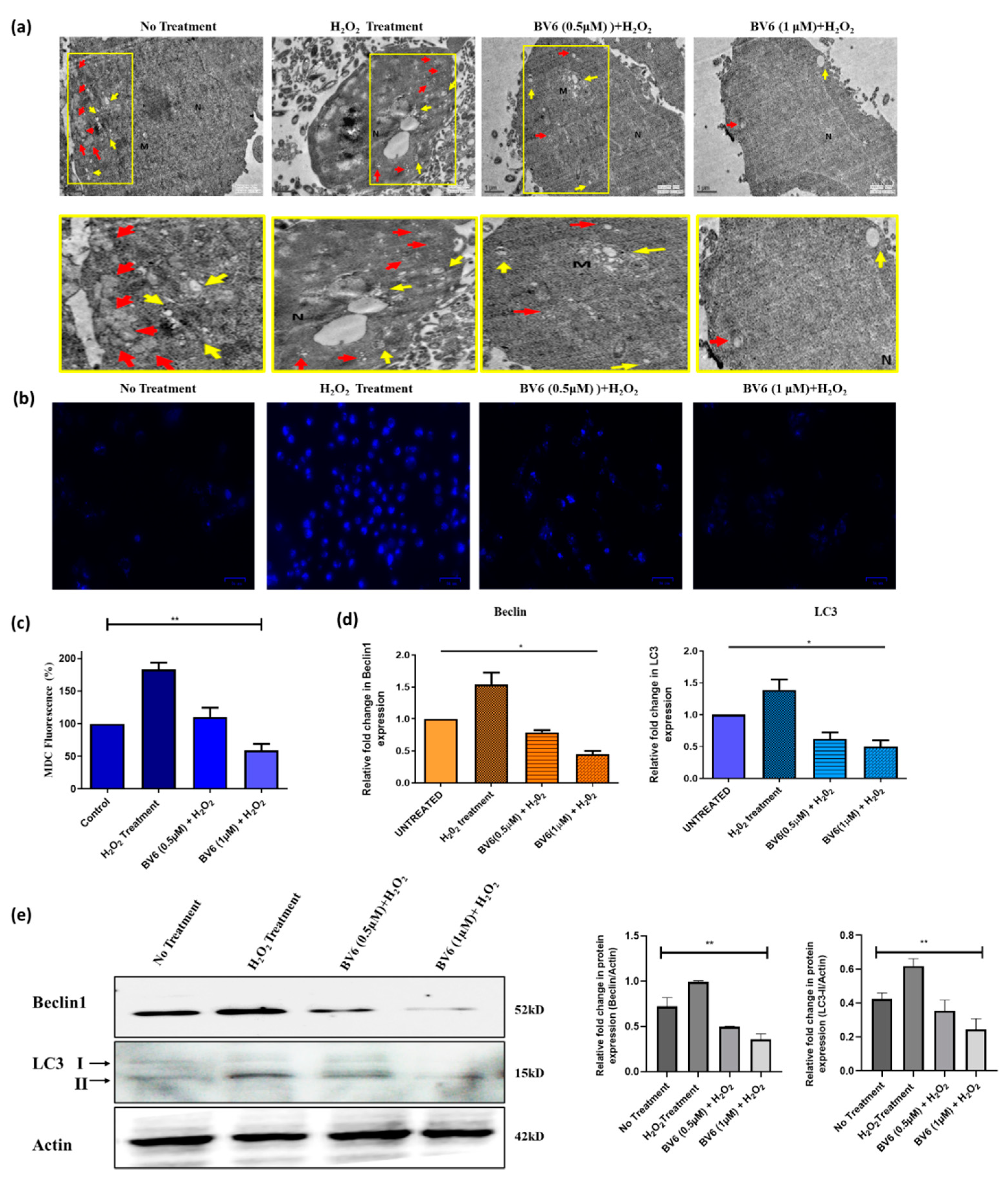 Cimb 45 00363 g004 Cimb 45 00363 g004
