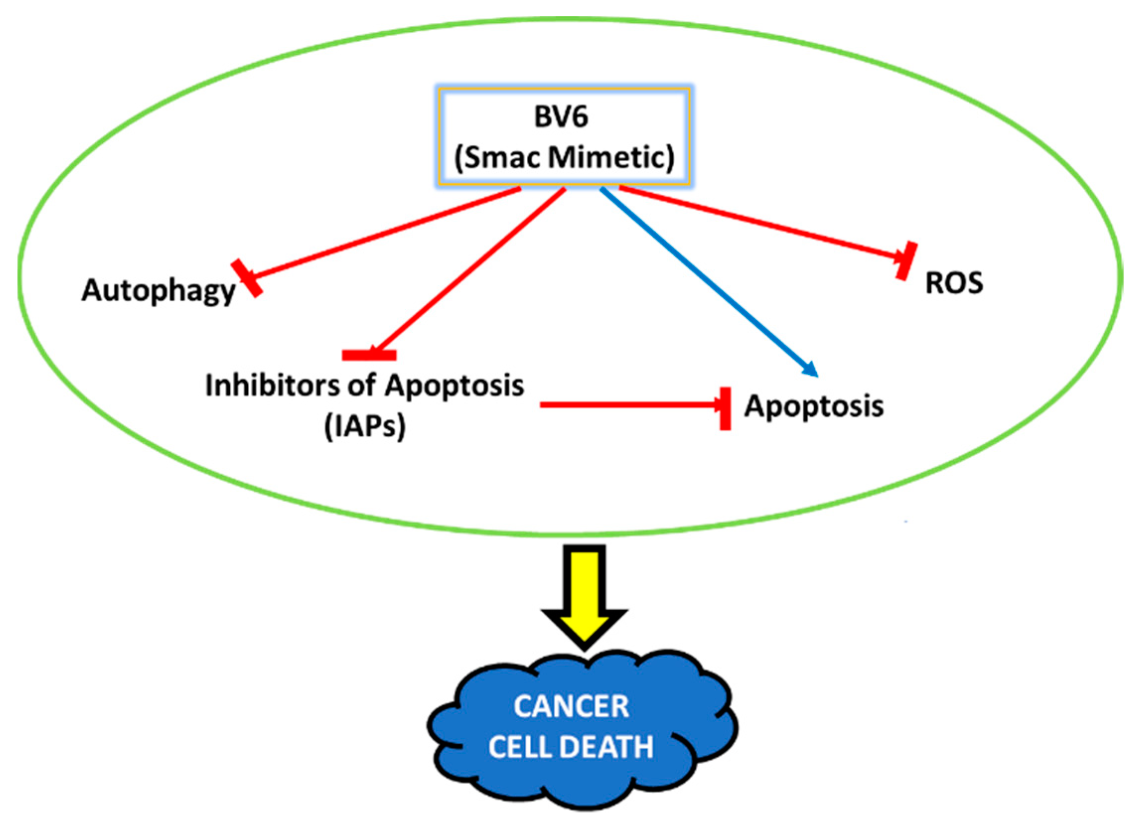 Cimb 45 00363 g005 Cimb 45 00363 g005