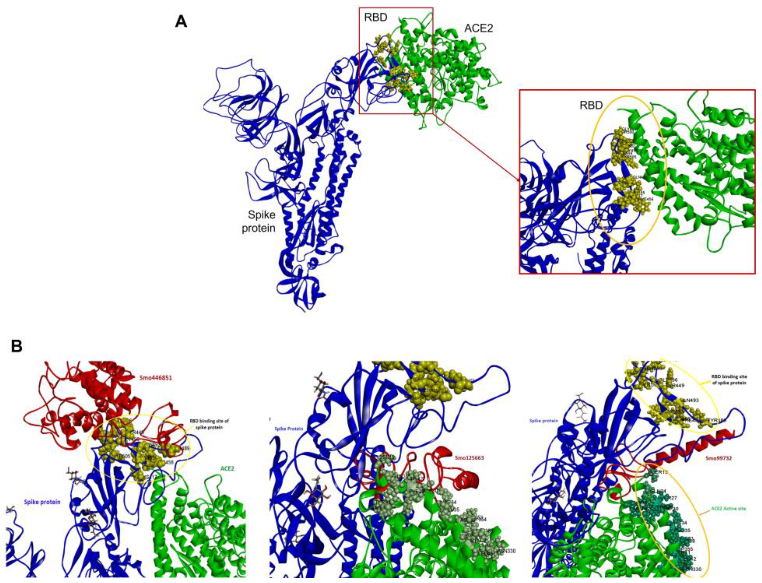Cimb 45 00372 g004 Cimb 45 00372 g004