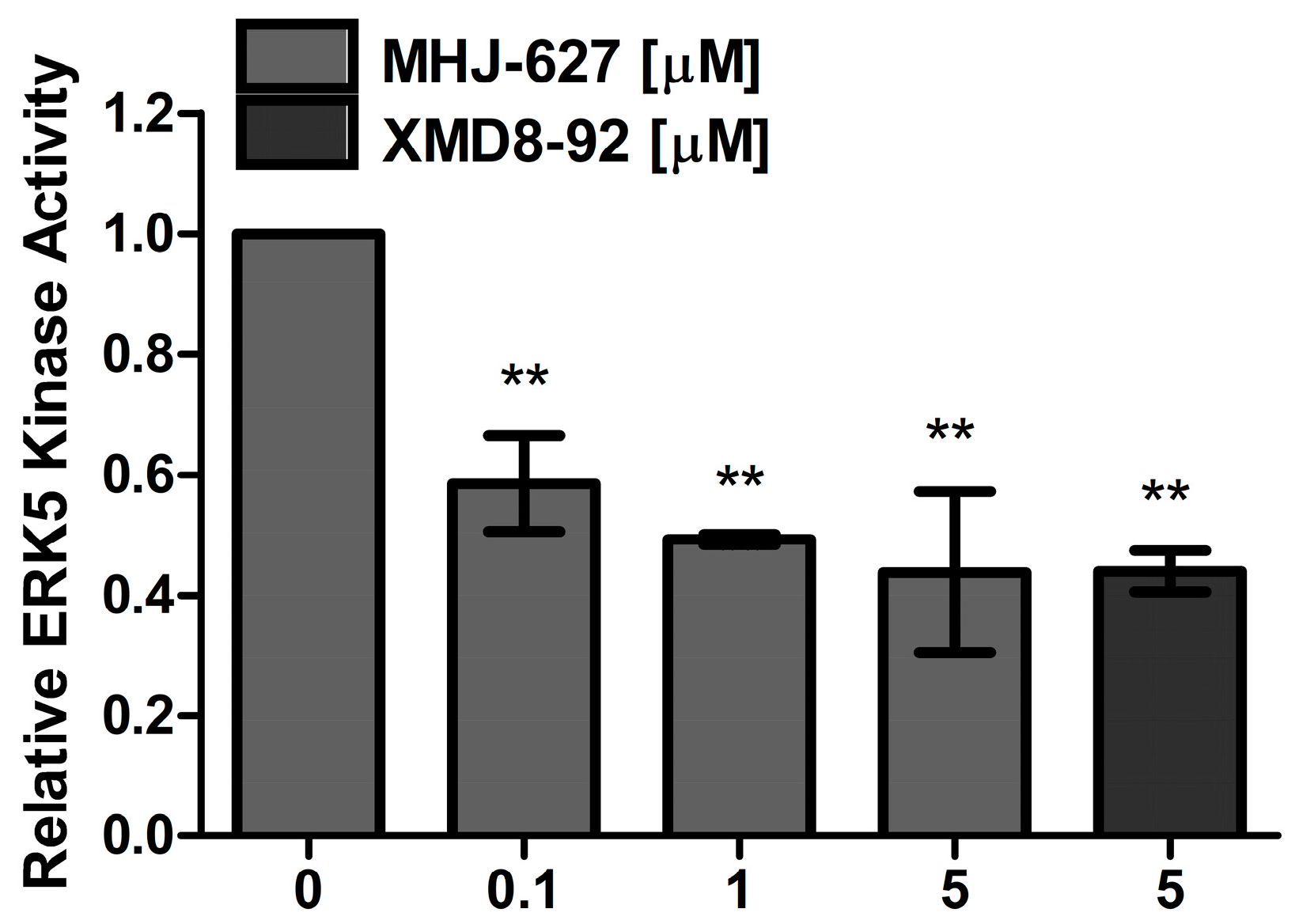 Identification of a Novel ERK5 (MAPK7) Inhibitor, MHJ-627, and