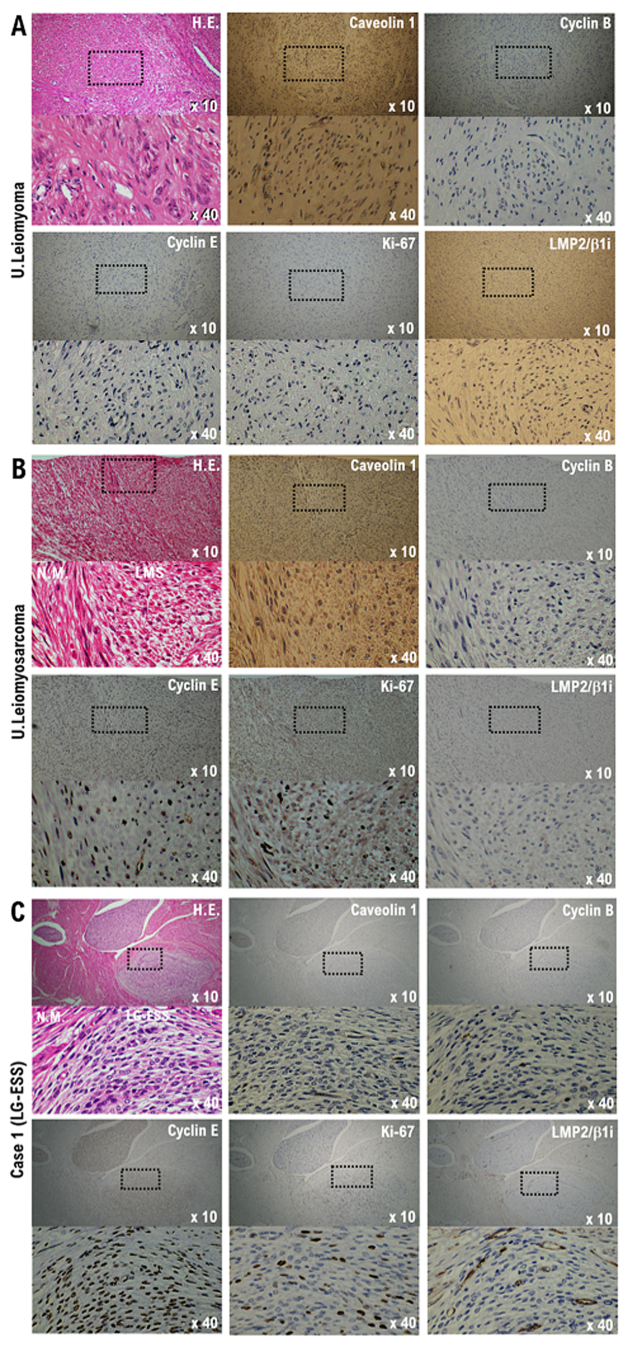 Cimb 45 00390 g001 550