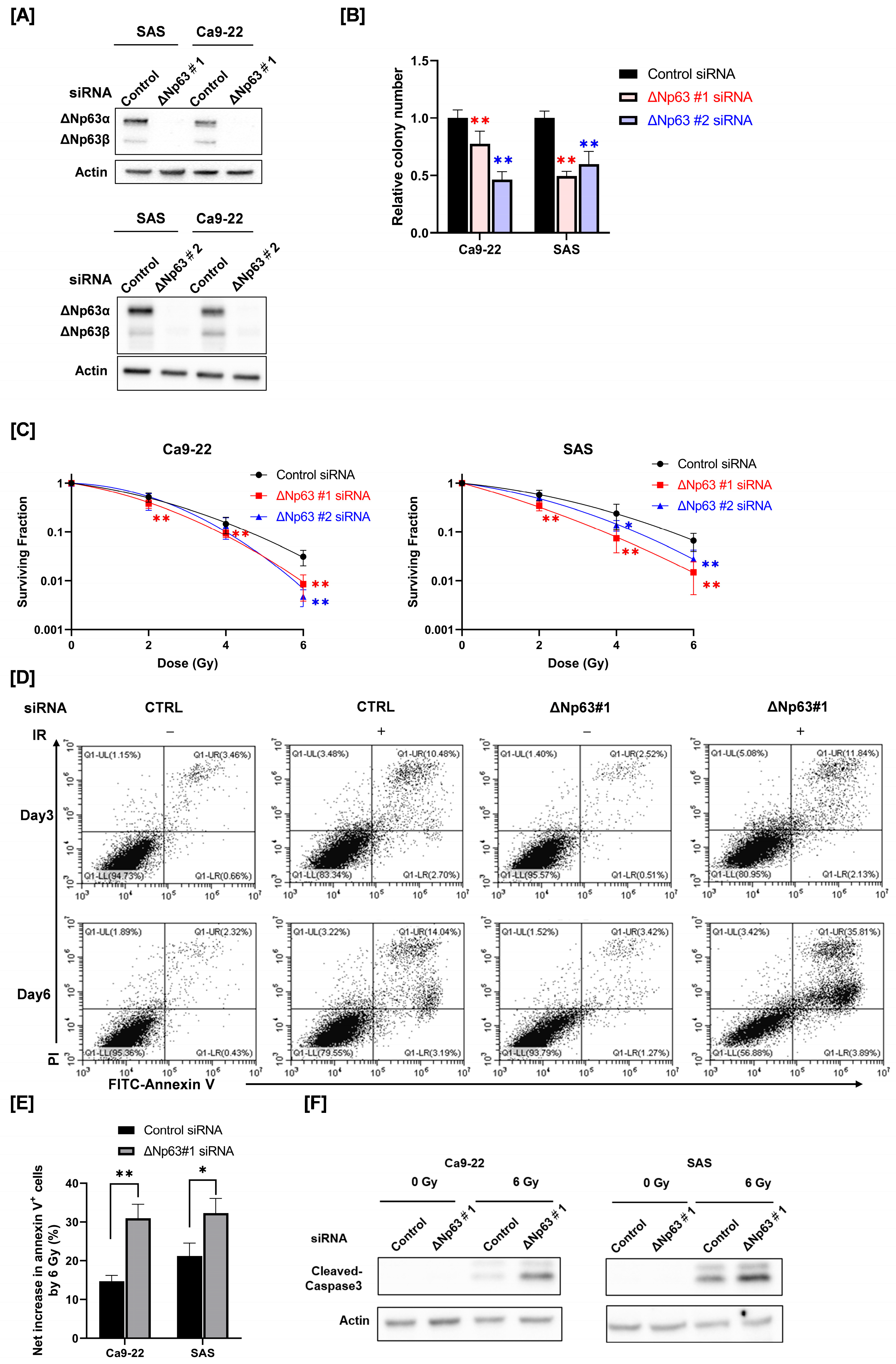 Cimb 45 00394 g001 Cimb 45 00394 g001