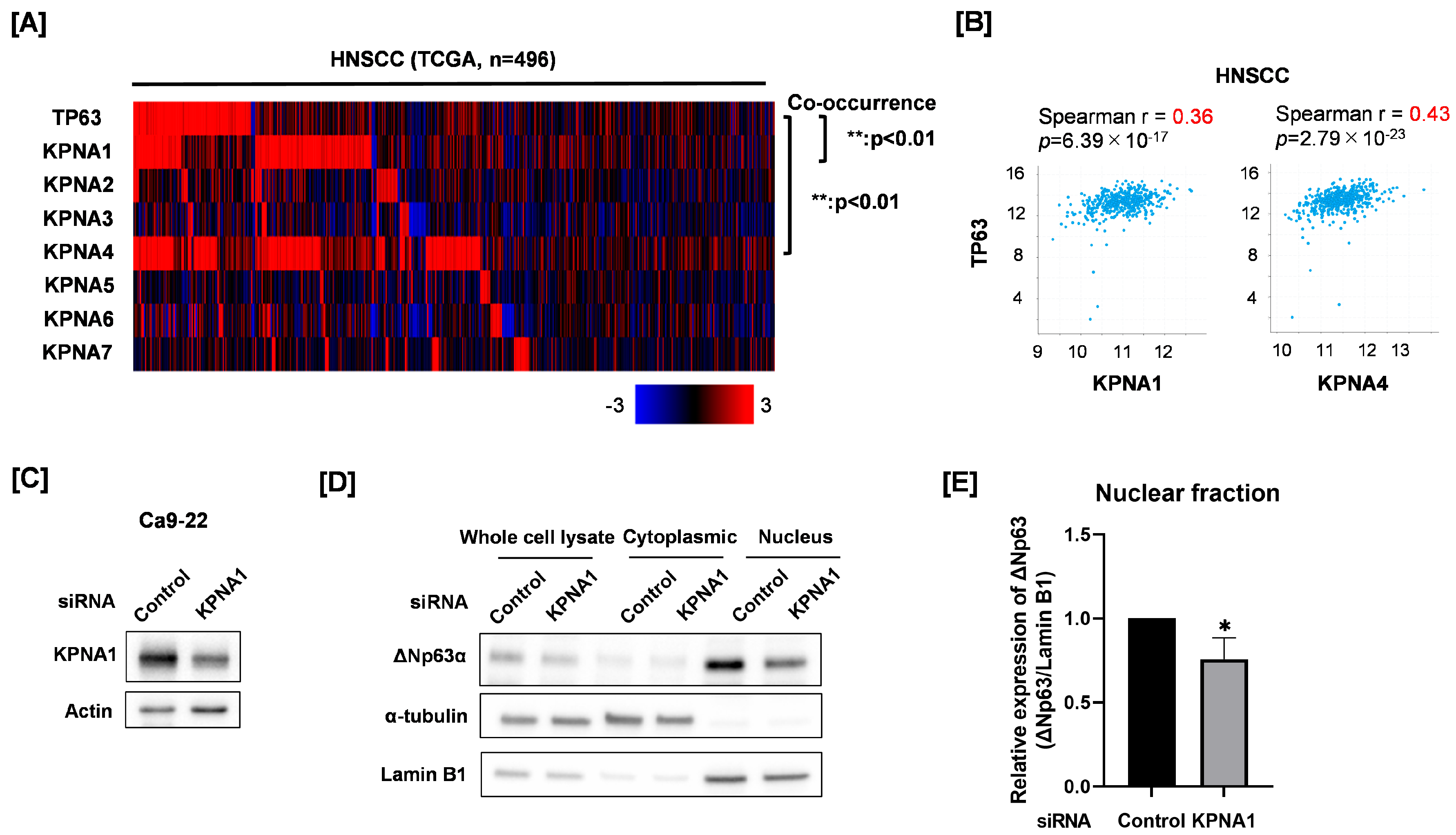 Cimb 45 00394 g002 Cimb 45 00394 g002