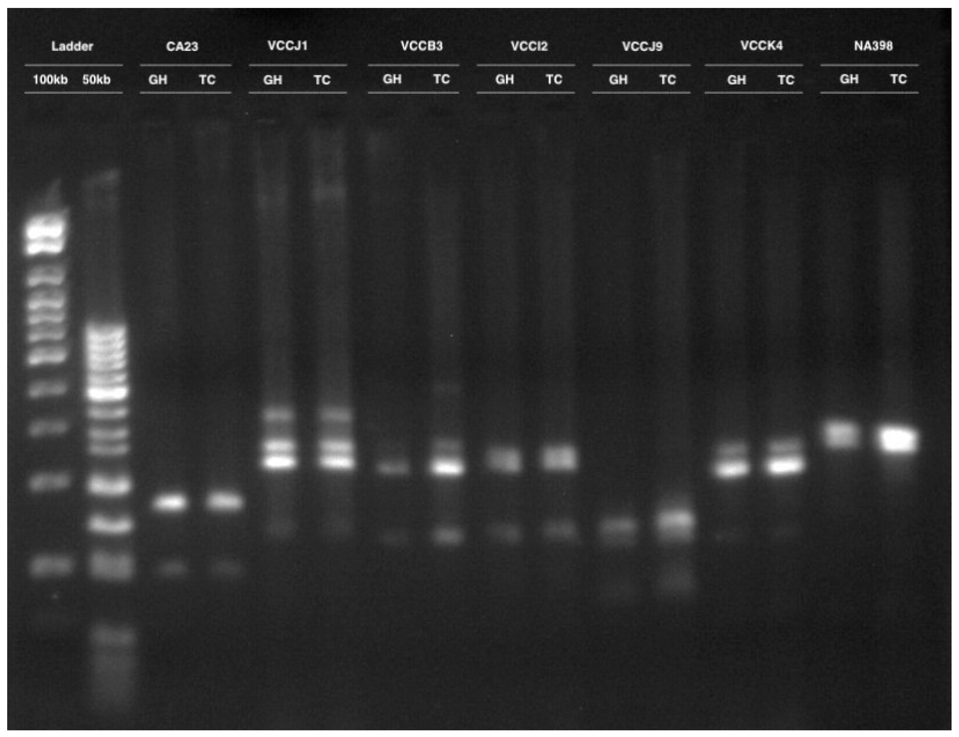 Cimb 45 00397 g003 Cimb 45 00397 g003