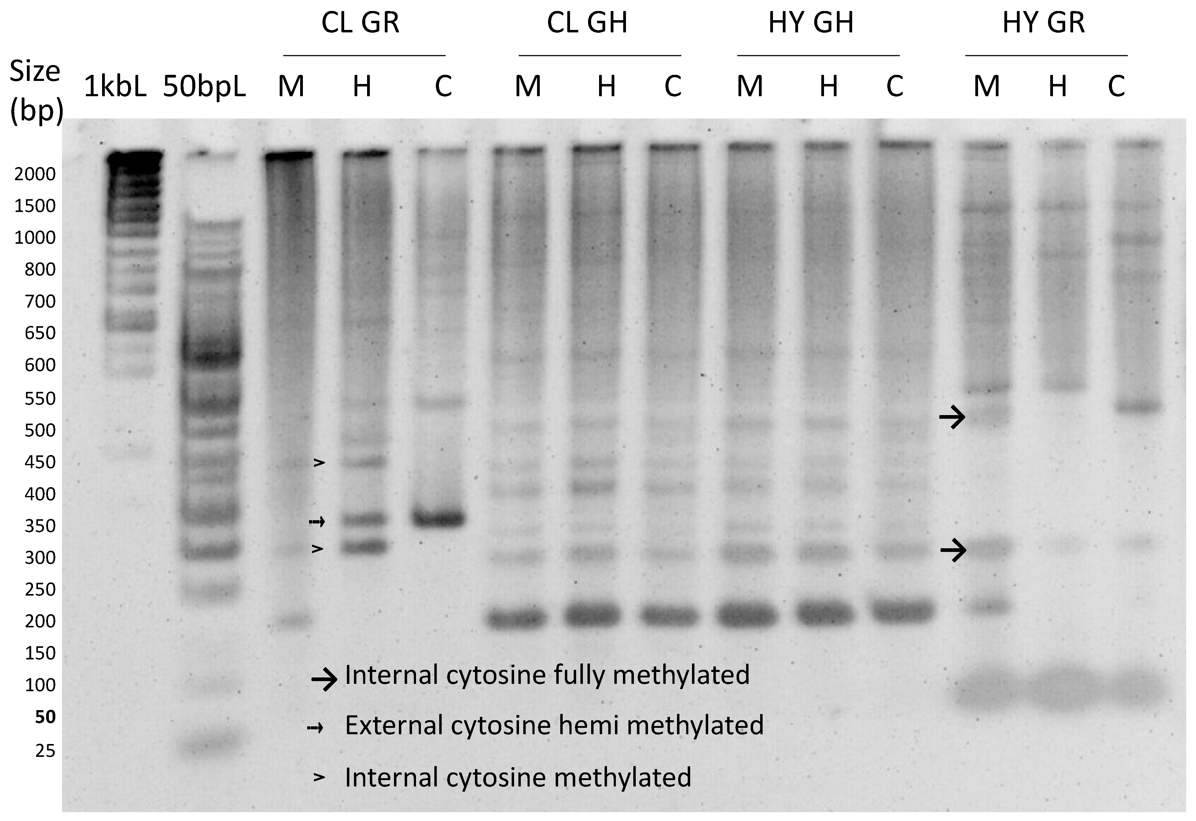 Cimb 45 00397 g004 Cimb 45 00397 g004
