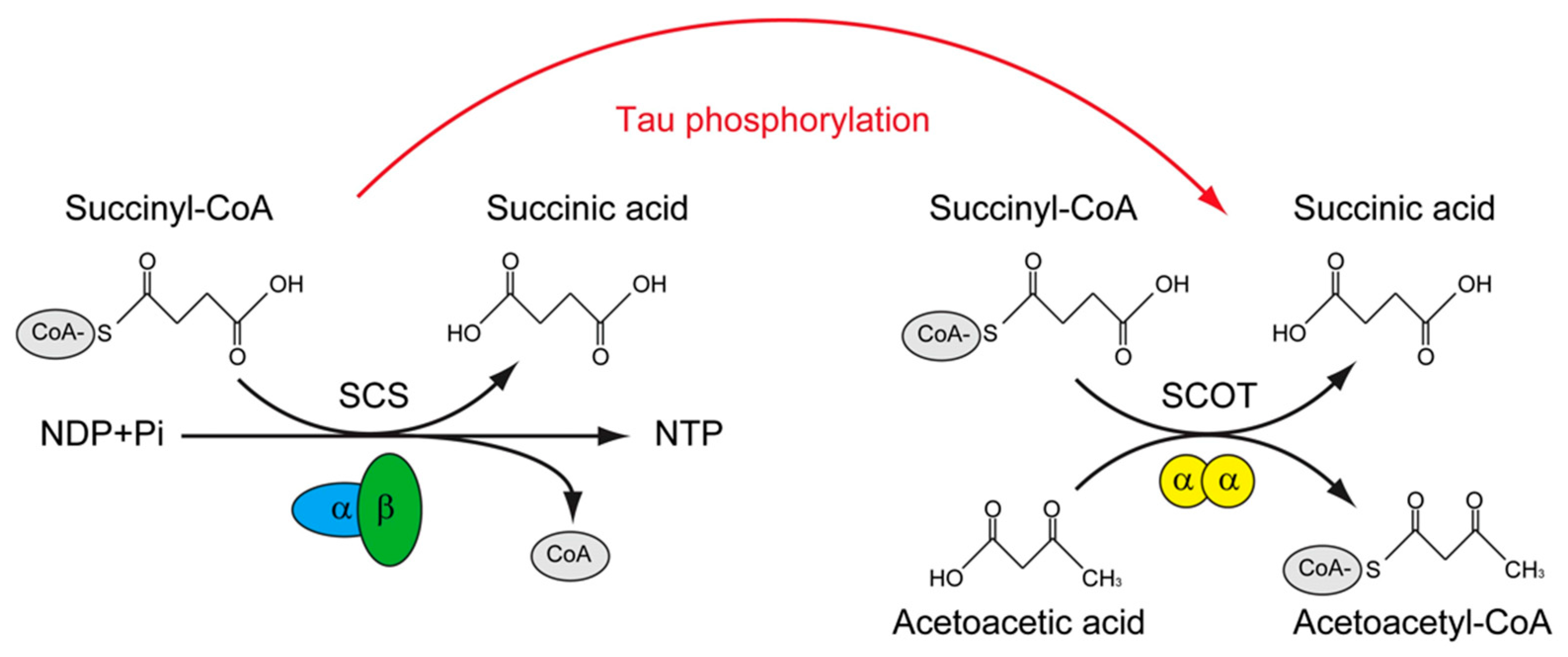 Cimb 45 00402 g002 Cimb 45 00402 g002