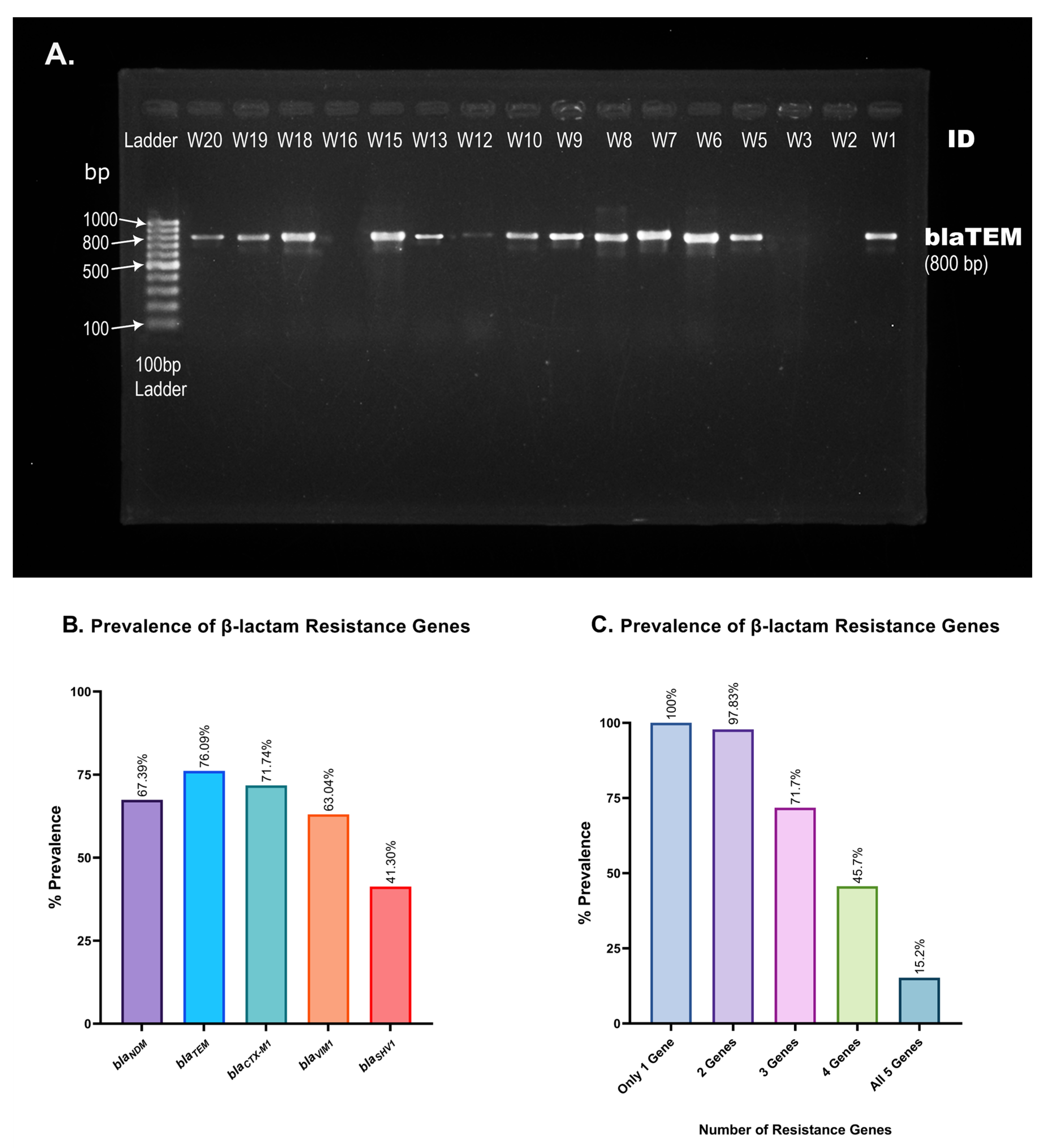 Cimb 45 00409 g006 Cimb 45 00409 g006