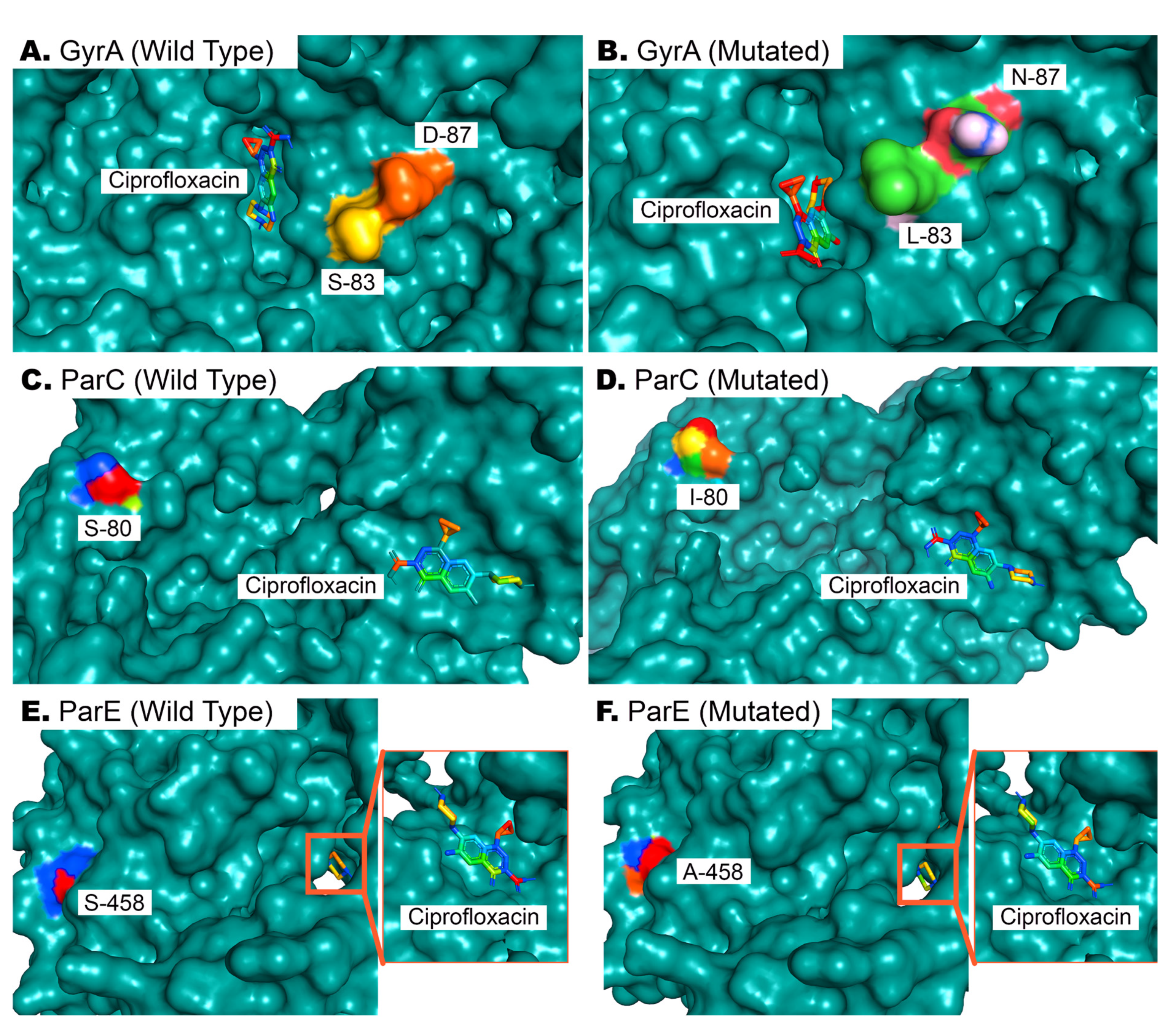 Cimb 45 00409 g007 Cimb 45 00409 g007
