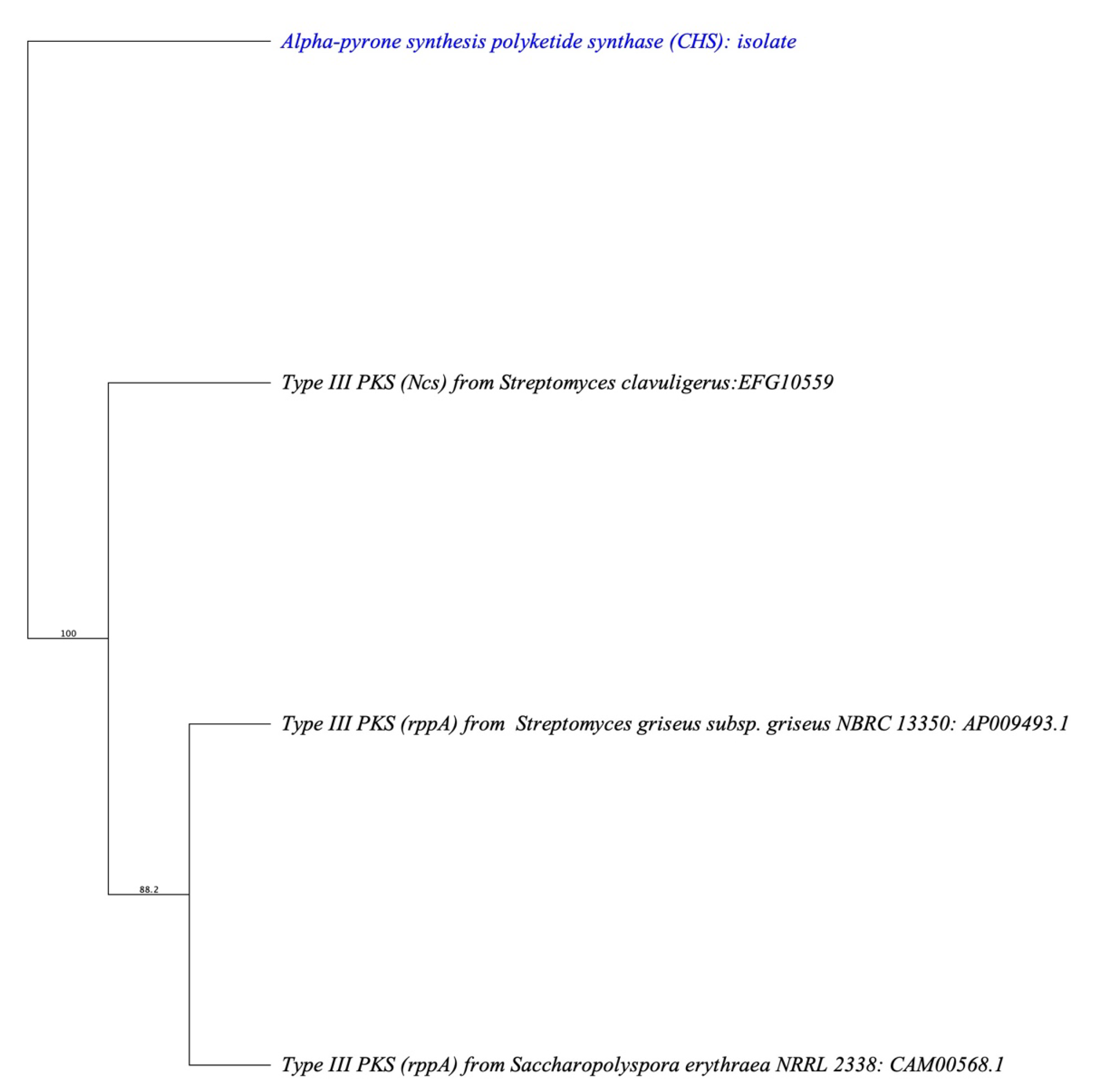 Cimb 45 00424 g004 Cimb 45 00424 g004