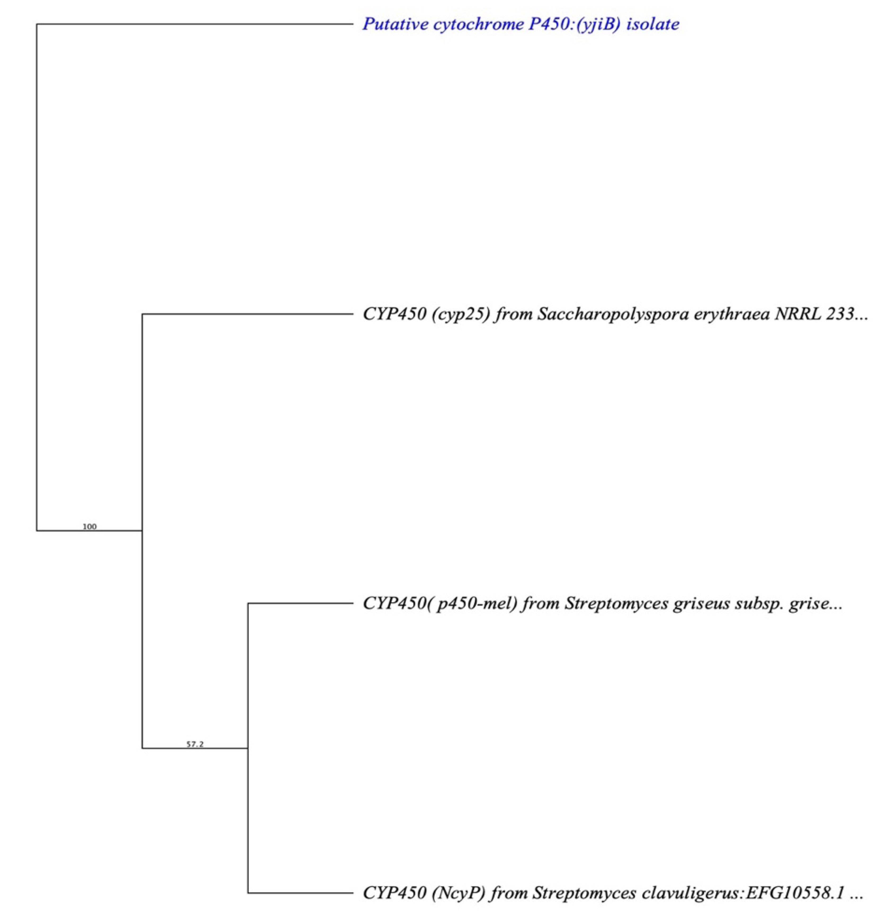 Cimb 45 00424 g005 Cimb 45 00424 g005