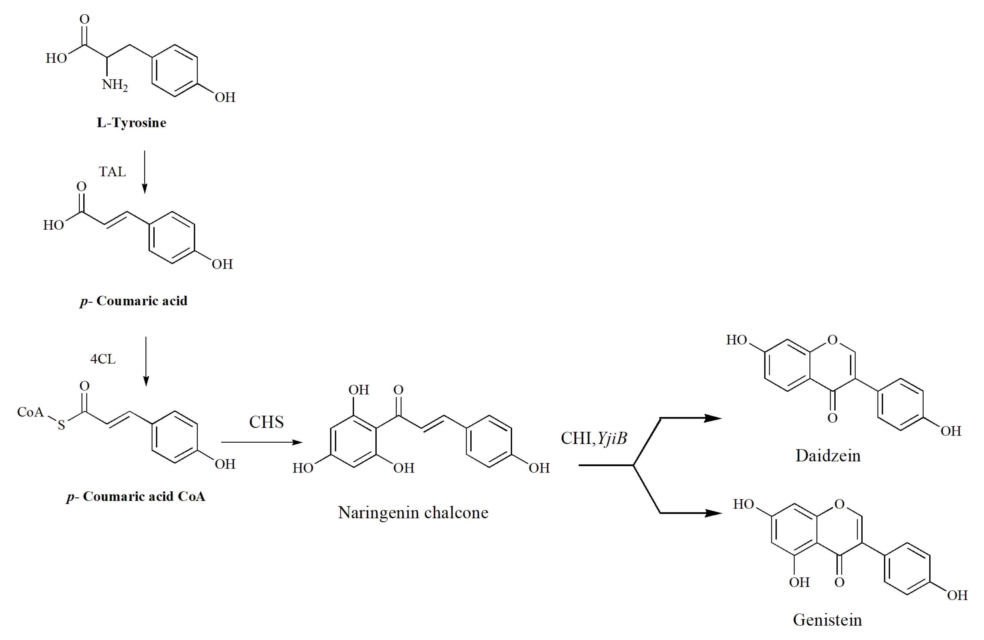 Cimb 45 00424 g006 Cimb 45 00424 g006