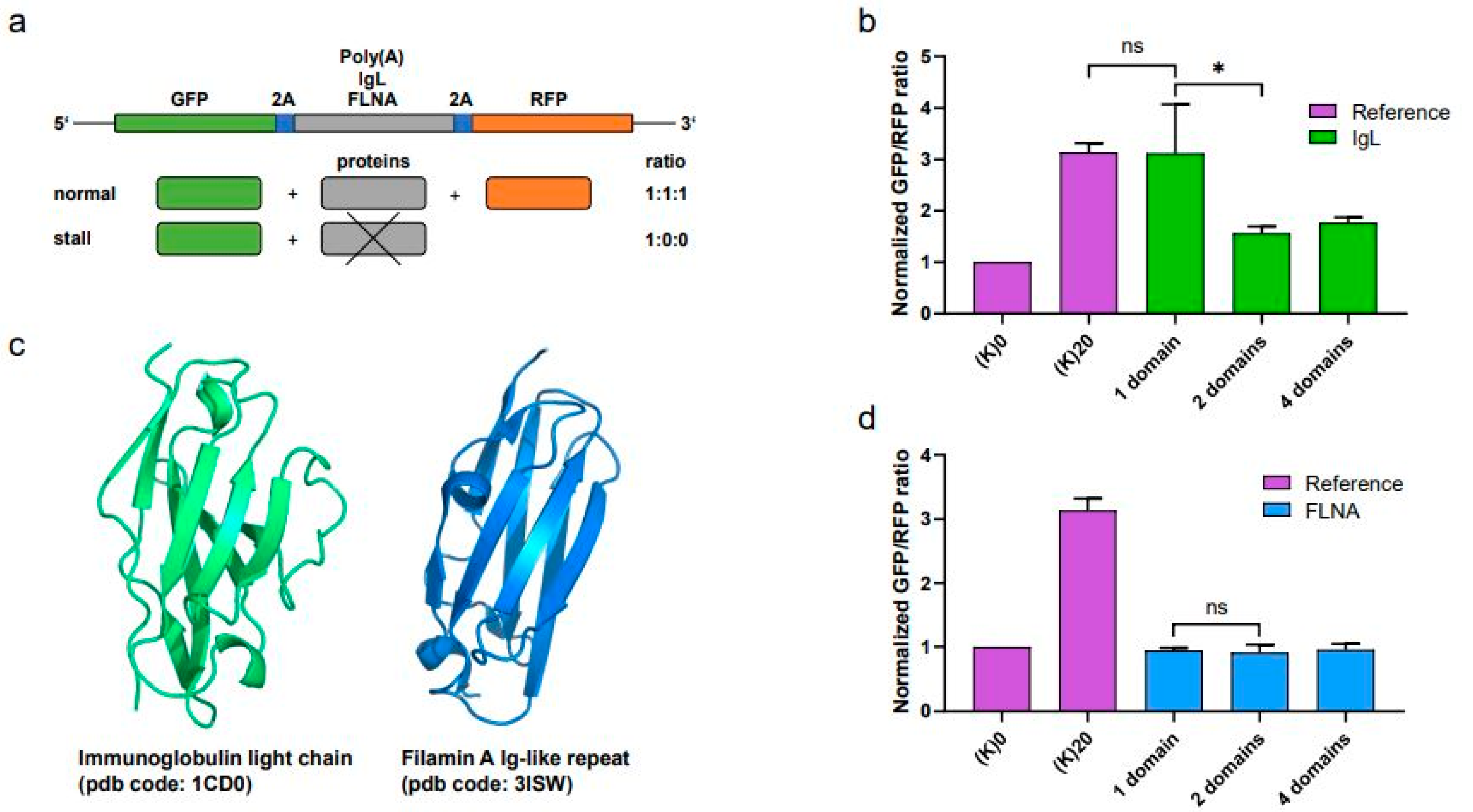 Cimb 45 00425 g001 Cimb 45 00425 g001