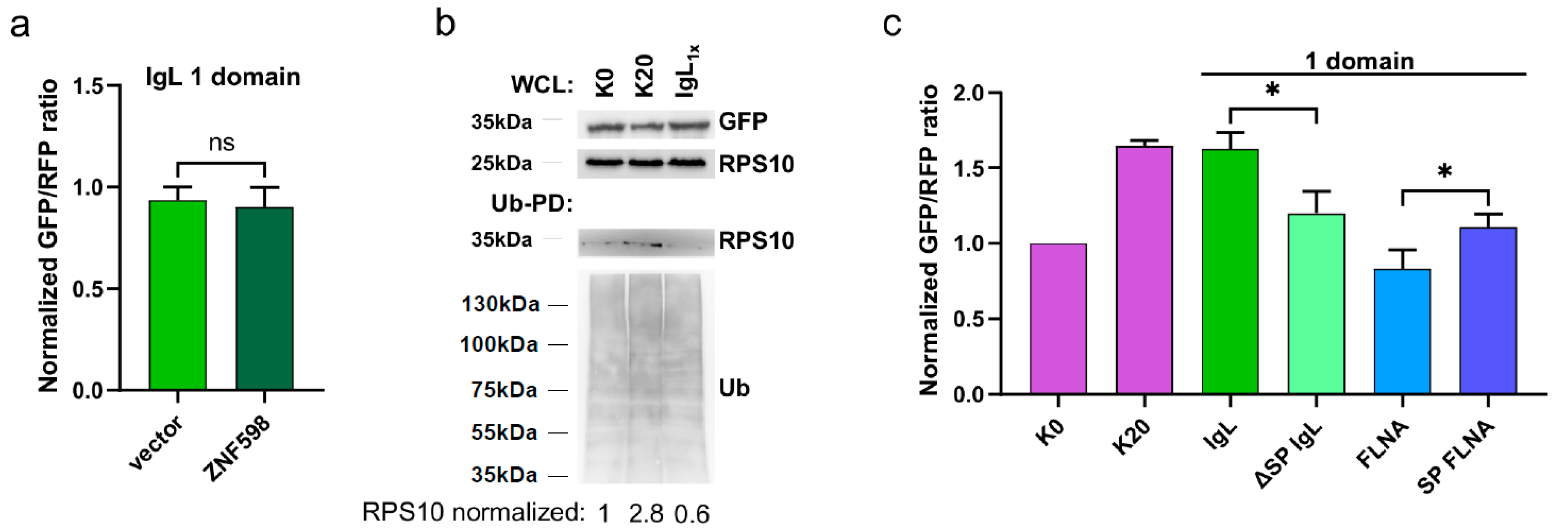 Cimb 45 00425 g002 Cimb 45 00425 g002