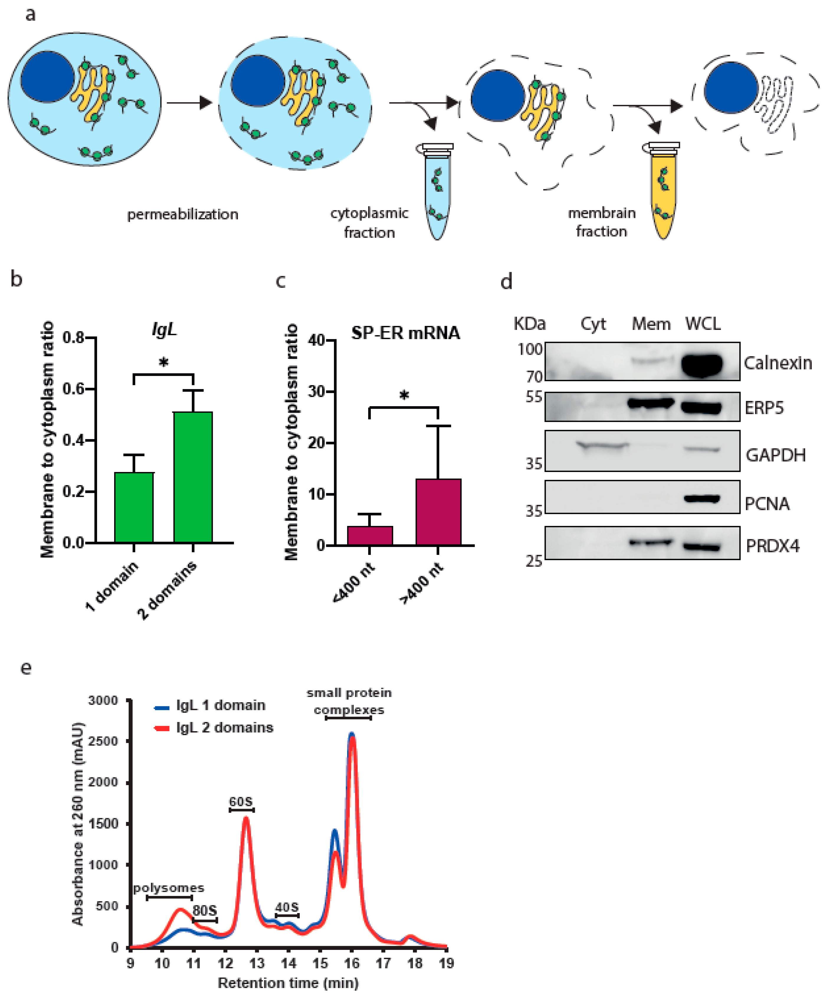 Cimb 45 00425 g004 Cimb 45 00425 g004