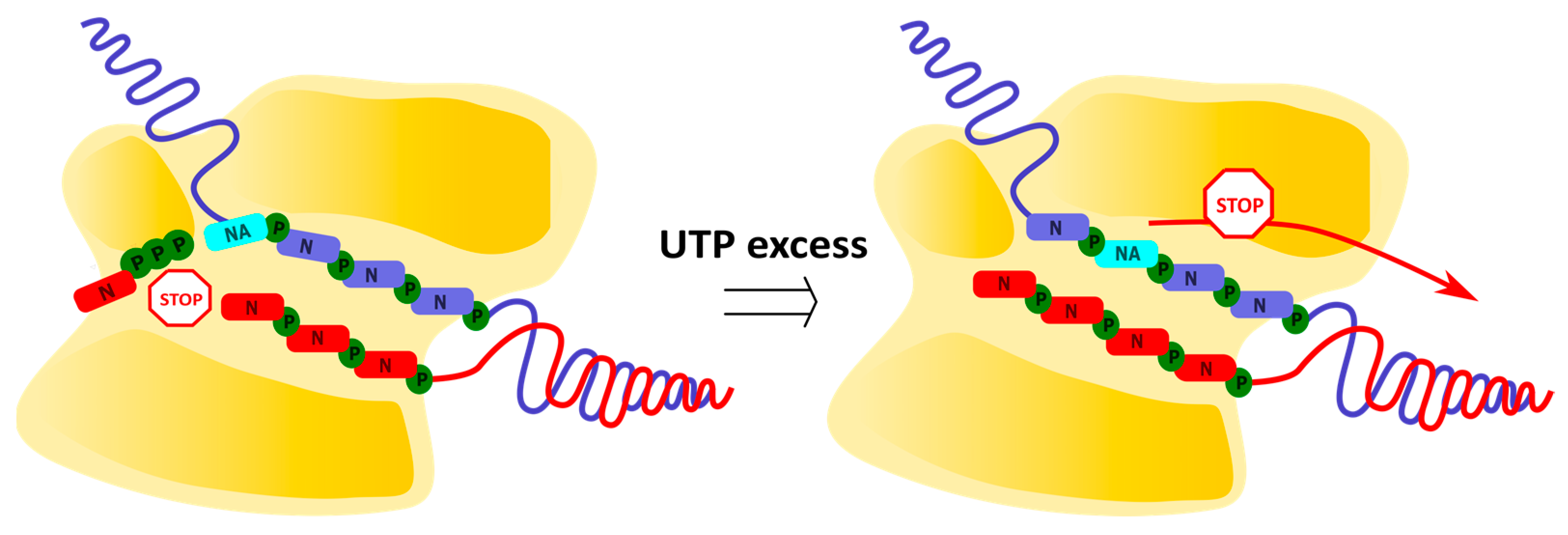 Cimb 45 00433 g010 Cimb 45 00433 g010