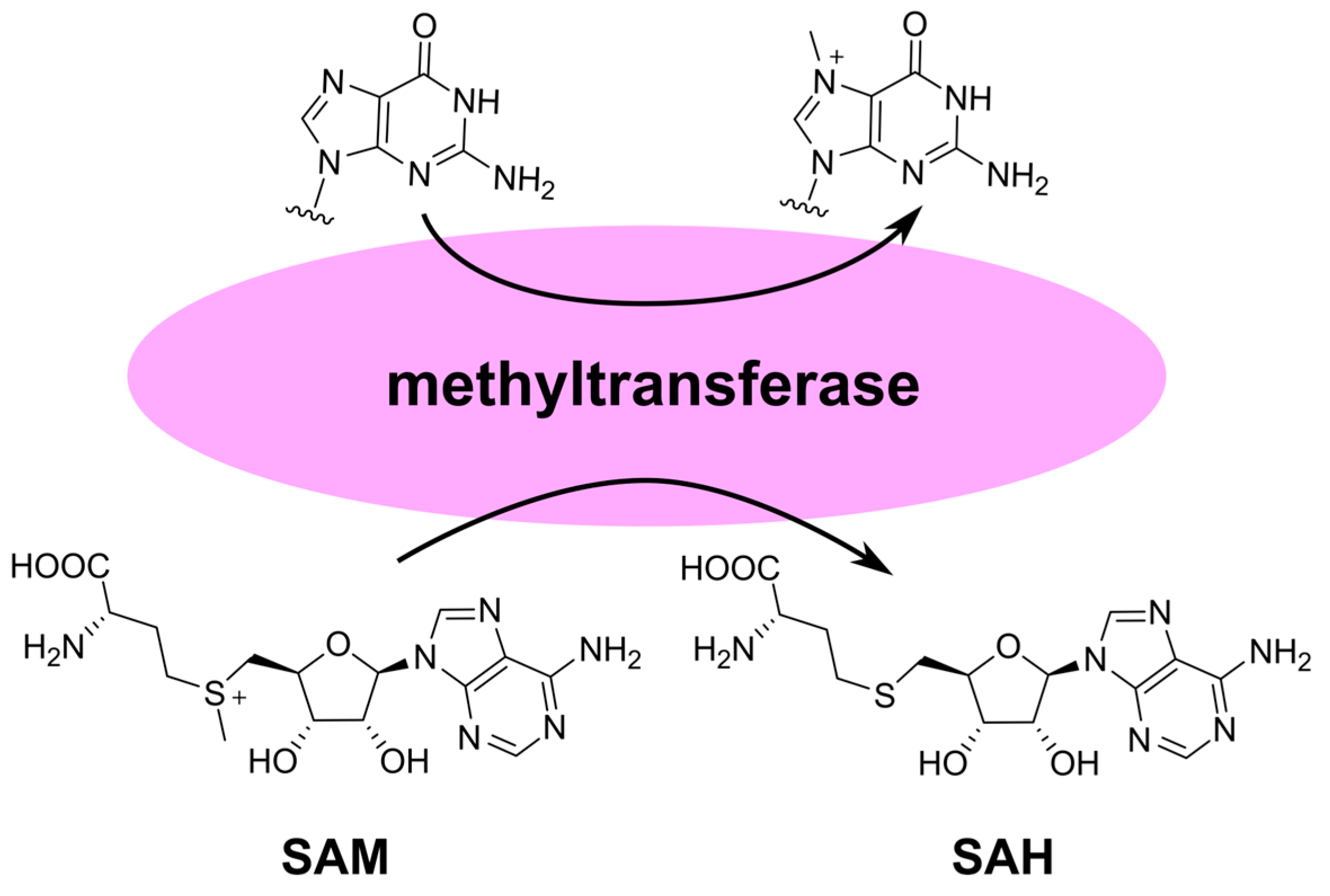 Cimb 45 00433 g015 Cimb 45 00433 g015