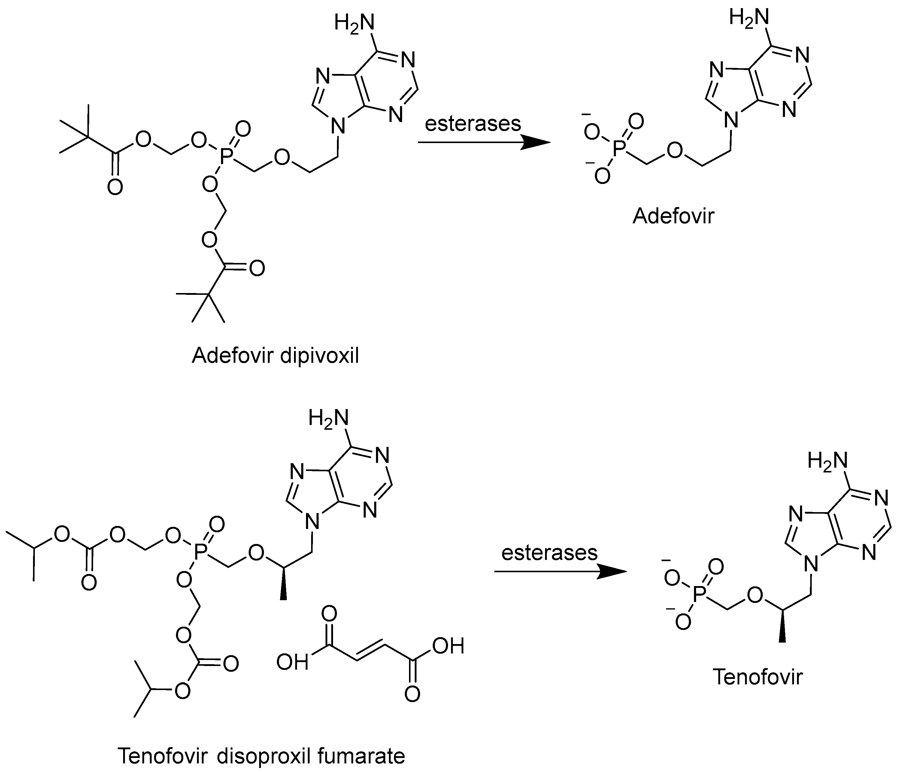 Cimb 45 00433 g019 Cimb 45 00433 g019