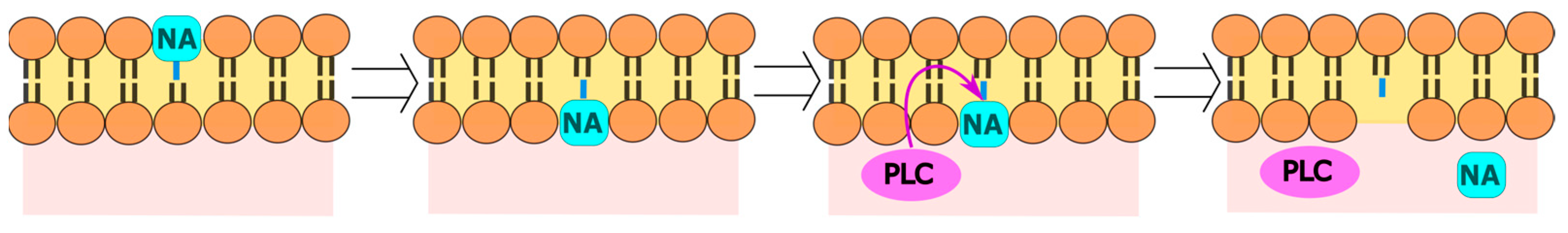 Cimb 45 00433 g021 Cimb 45 00433 g021