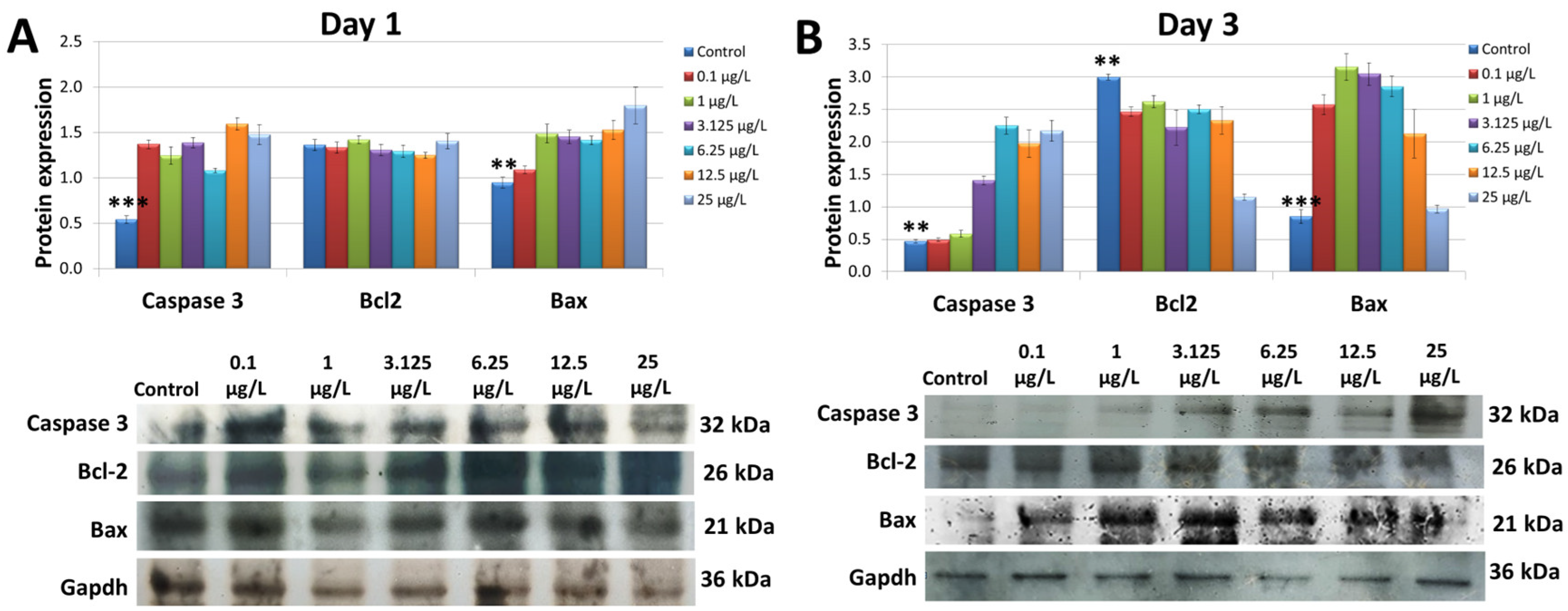 Cimb 45 00436 g005 Cimb 45 00436 g005