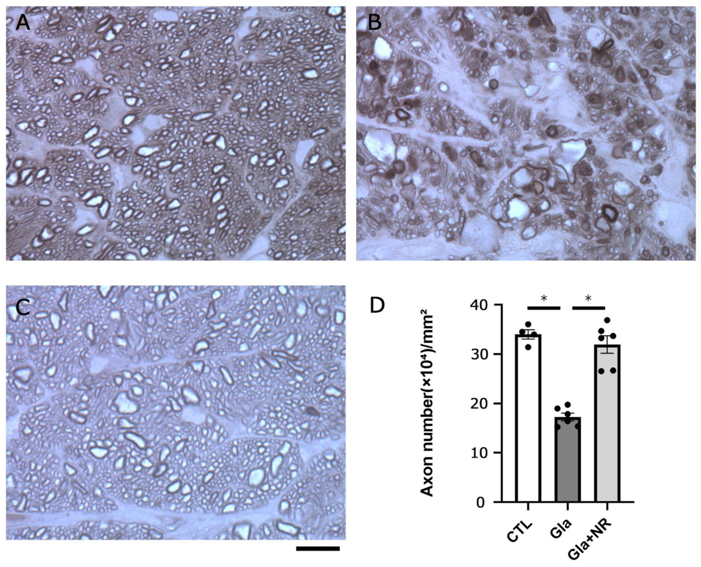 Cimb 45 00449 g003 Cimb 45 00449 g003