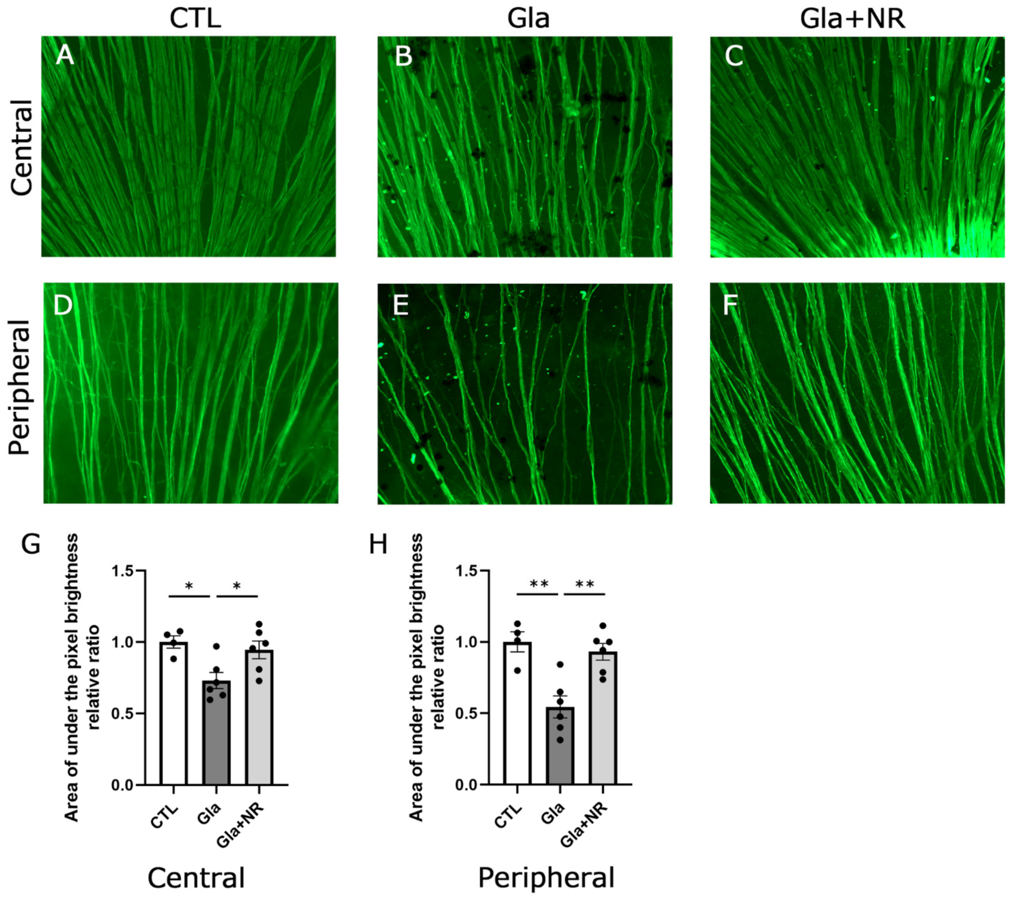 Cimb 45 00449 g004 Cimb 45 00449 g004