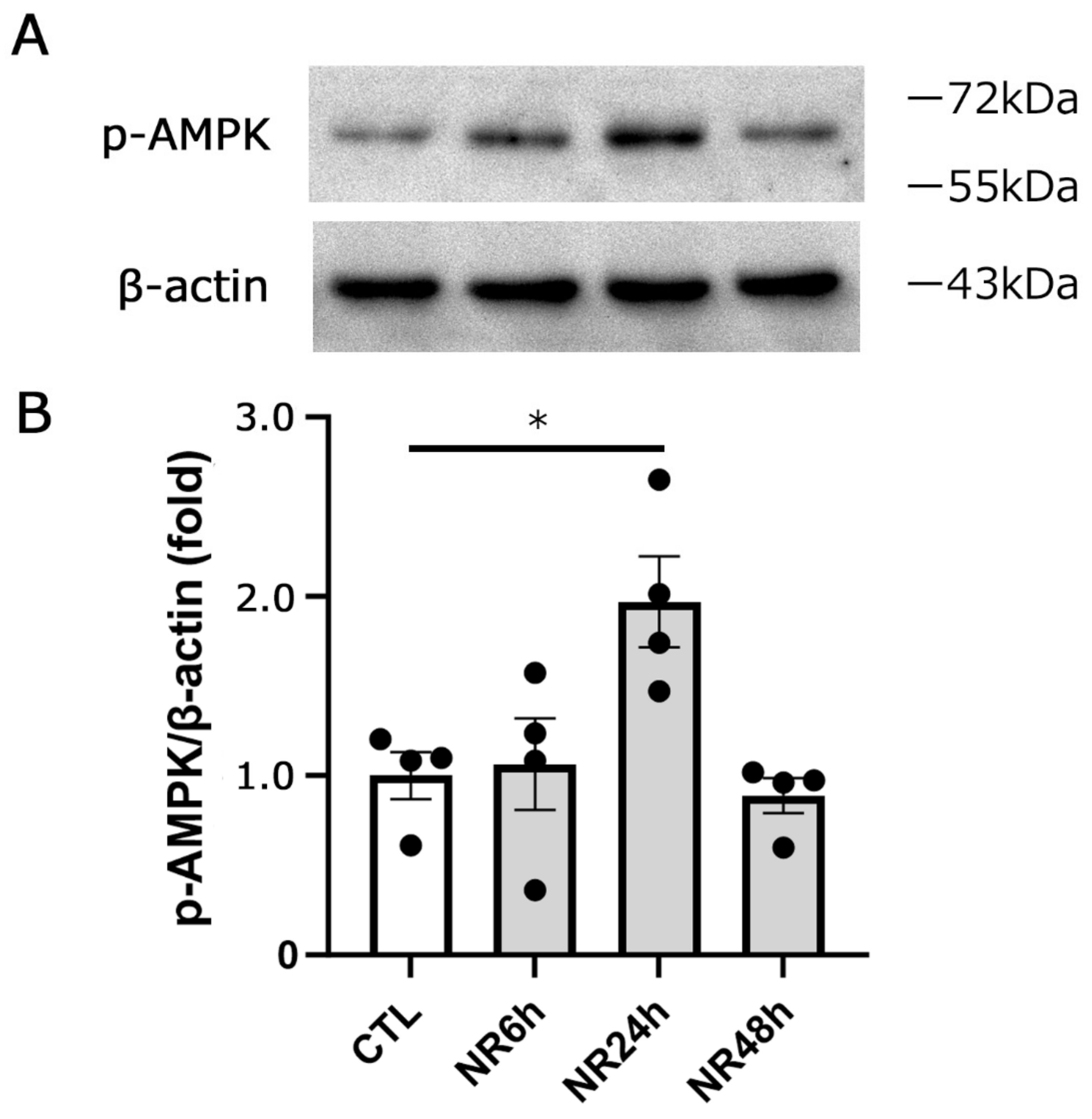 Cimb 45 00449 g006 Cimb 45 00449 g006