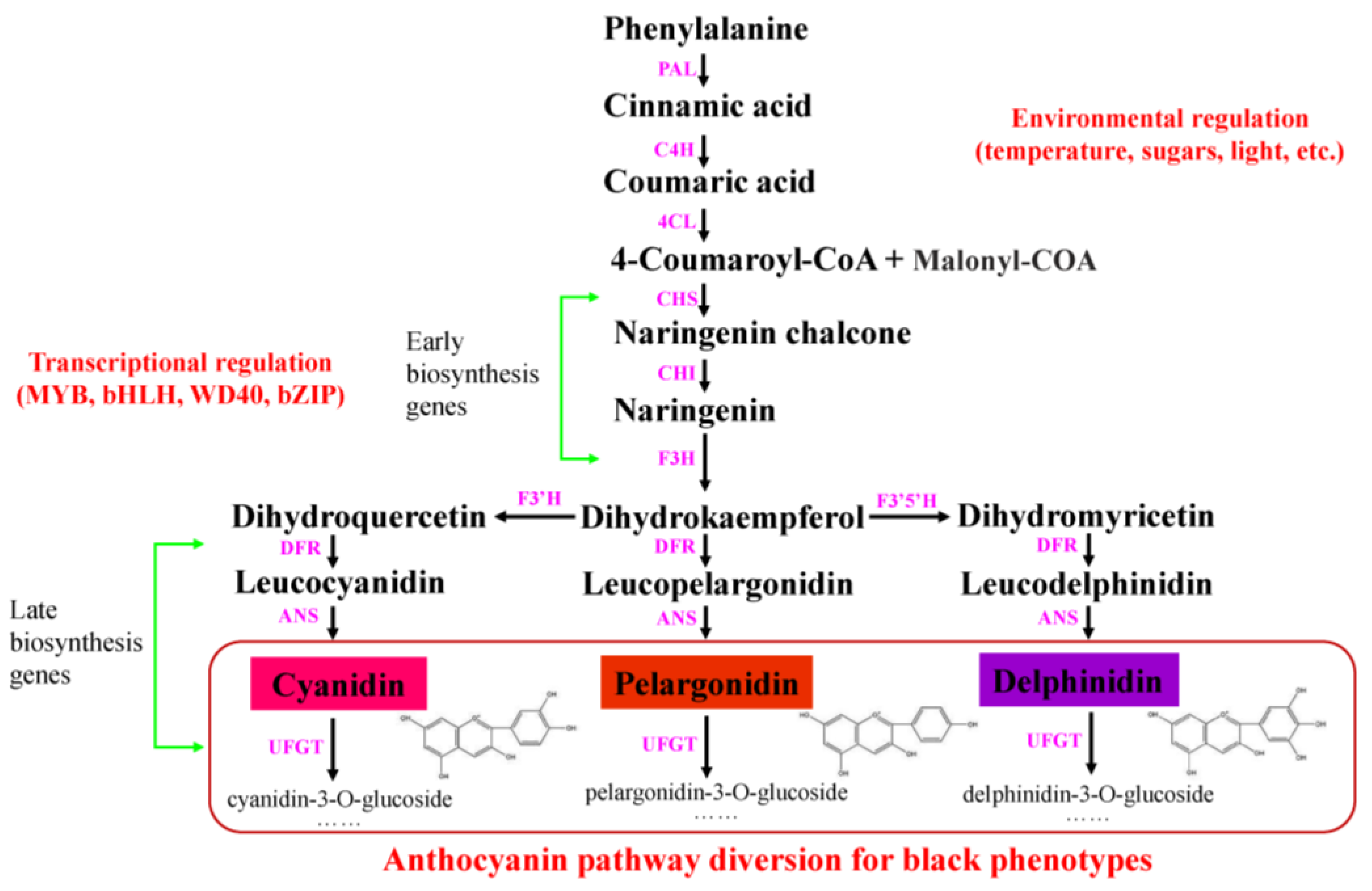 Cimb 45 00458 g003 Cimb 45 00458 g003