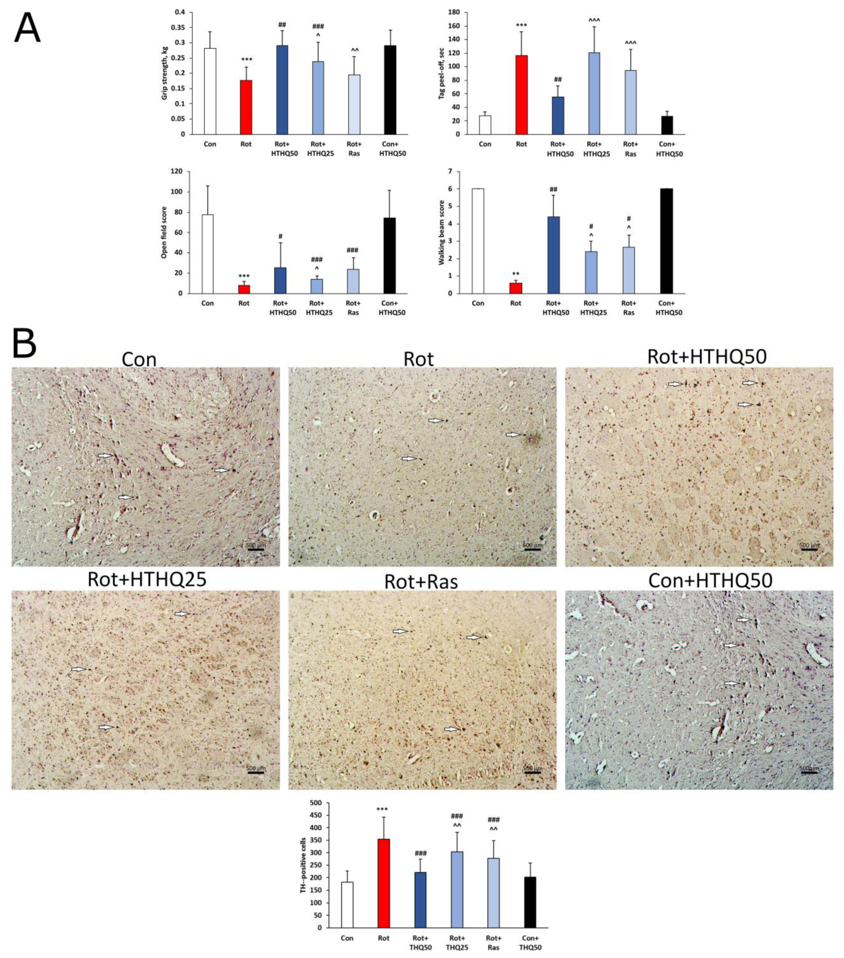 Cimb 45 00483 g002 Cimb 45 00483 g002