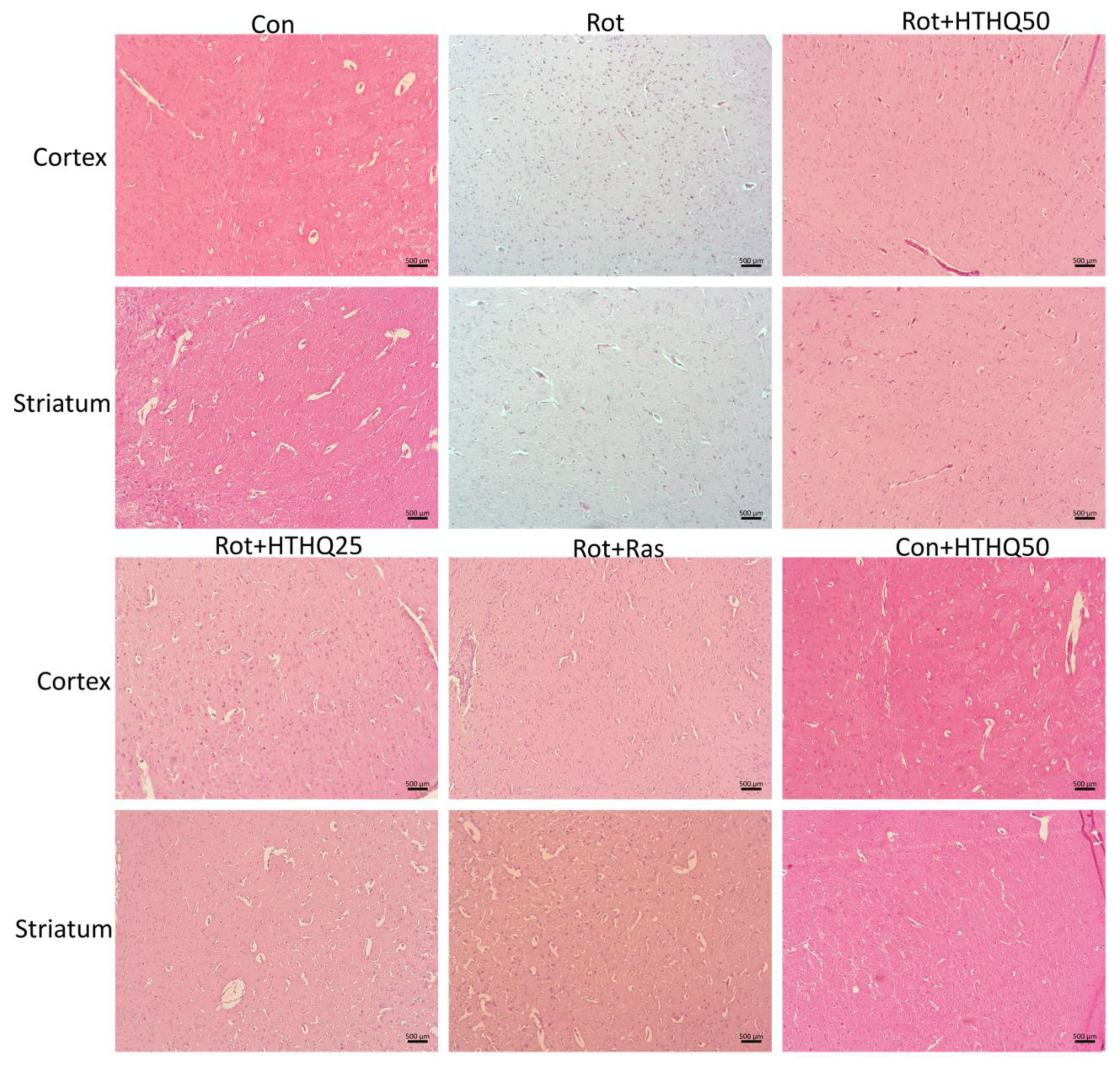 Cimb 45 00483 g003 Cimb 45 00483 g003