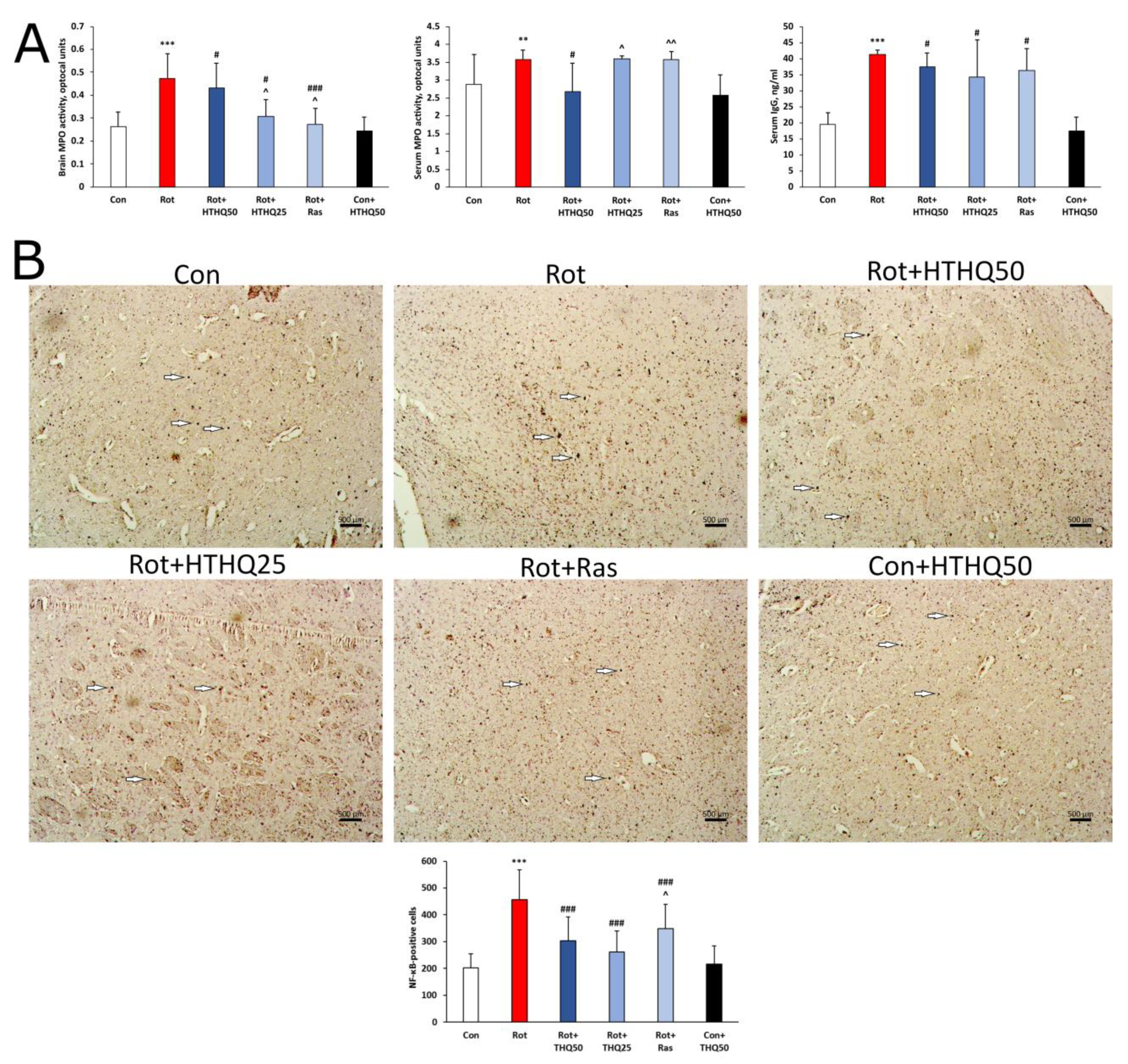 Cimb 45 00483 g005 Cimb 45 00483 g005