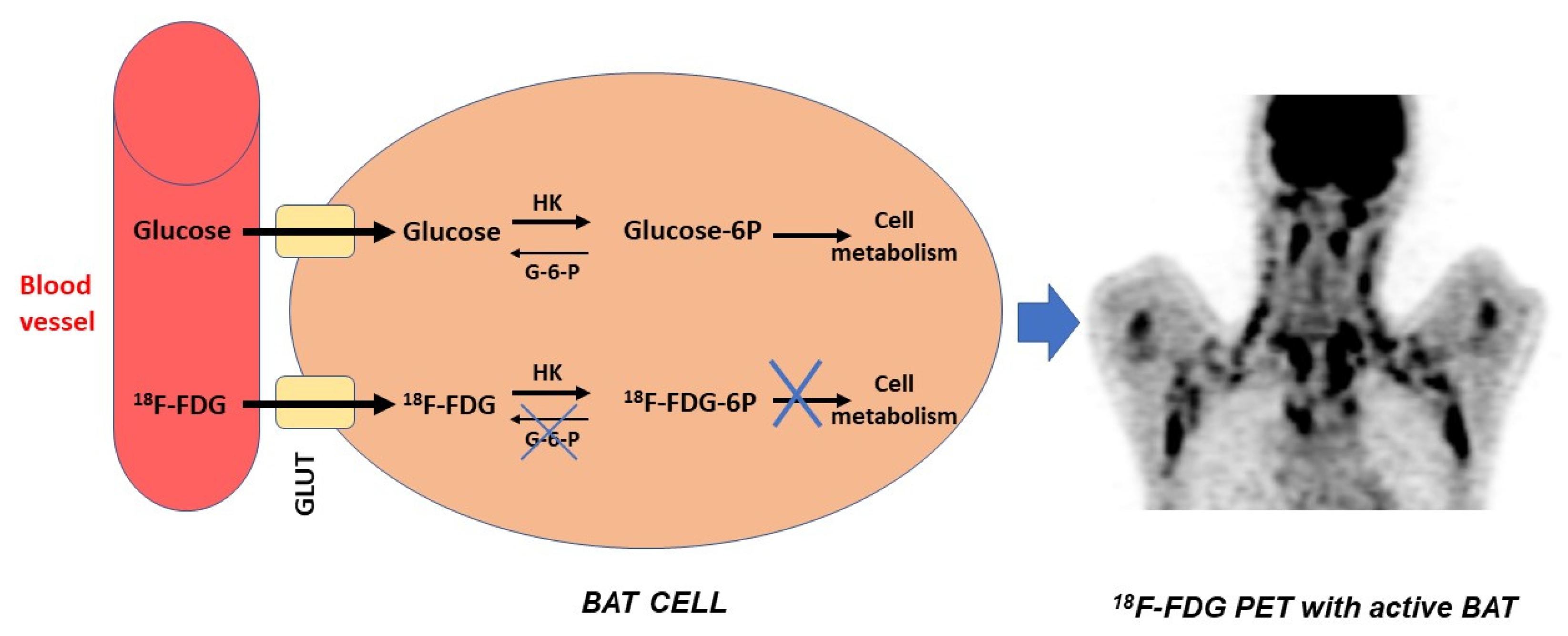 Cimb 45 00499 g009 Cimb 45 00499 g009
