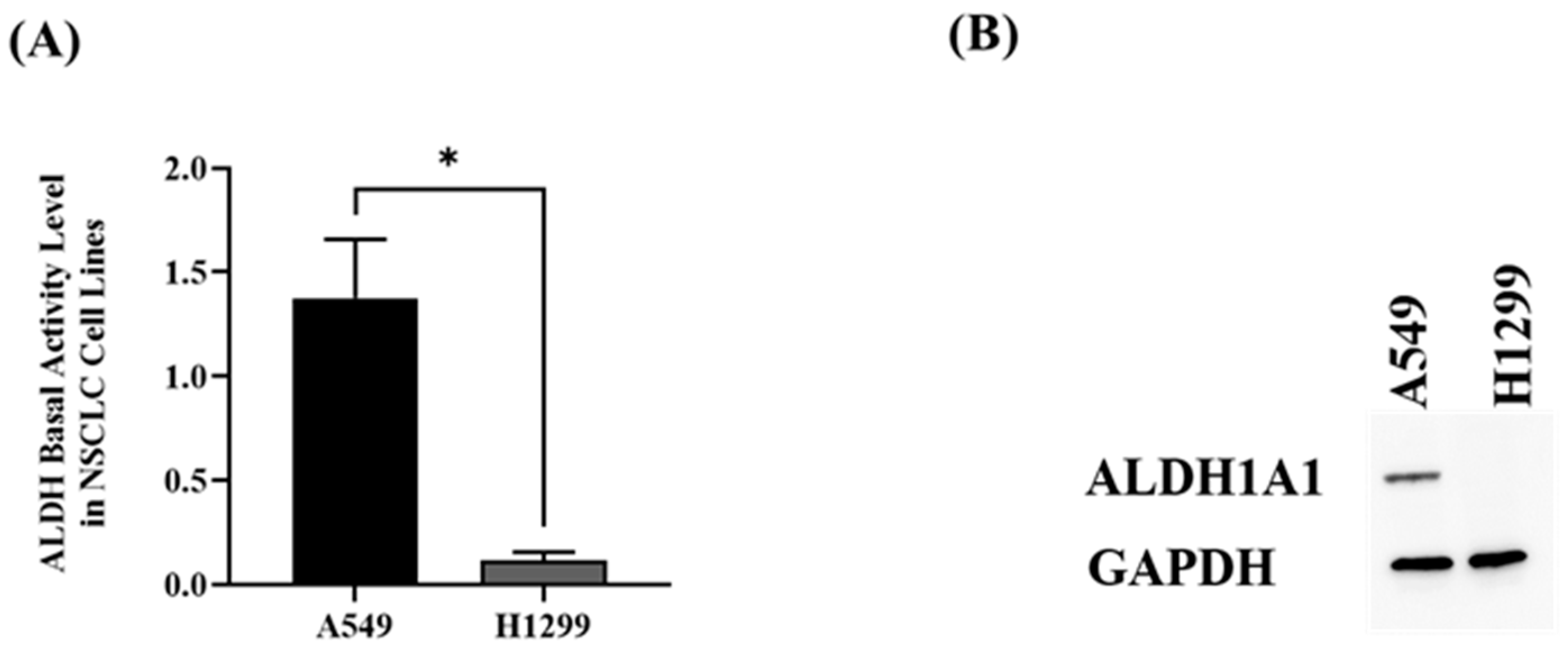 Investigating Carvedilol's Repurposing for the Treatment of