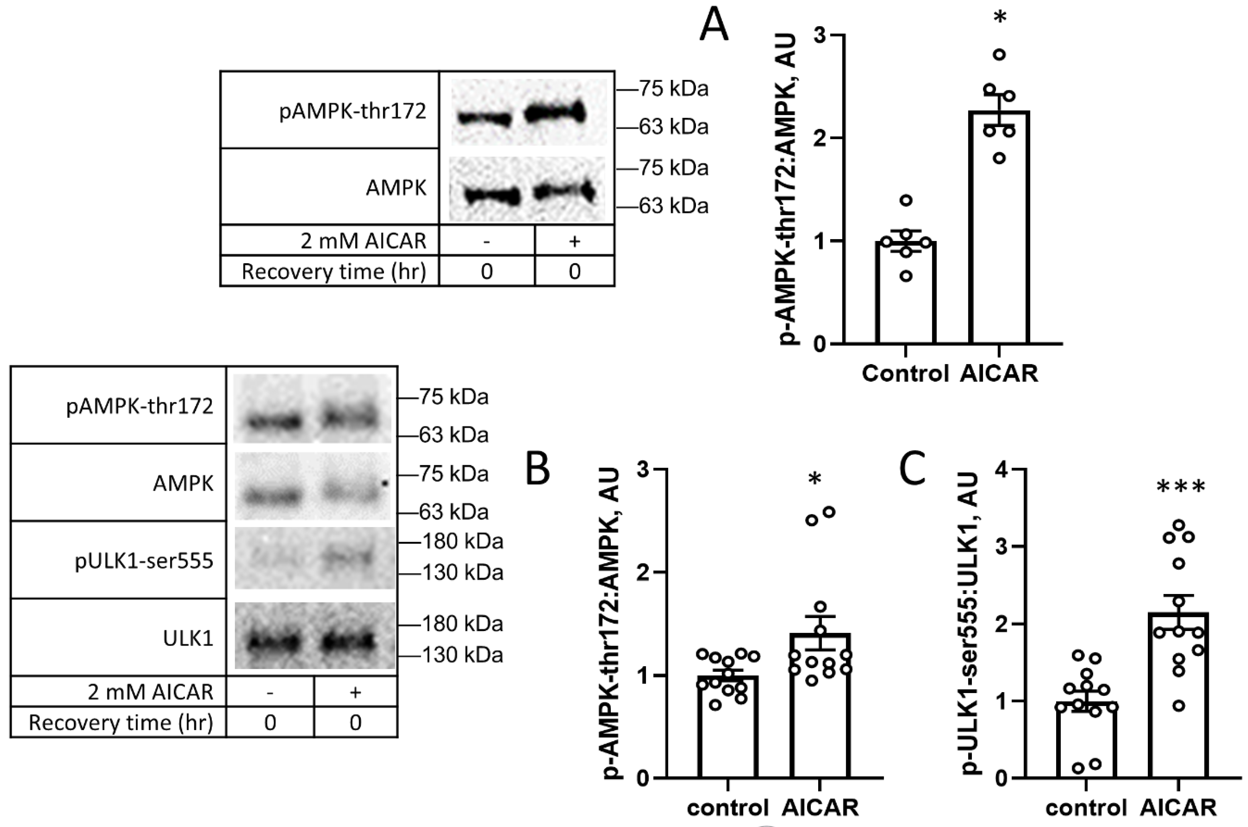 Cimb 45 00508 g001 Cimb 45 00508 g001
