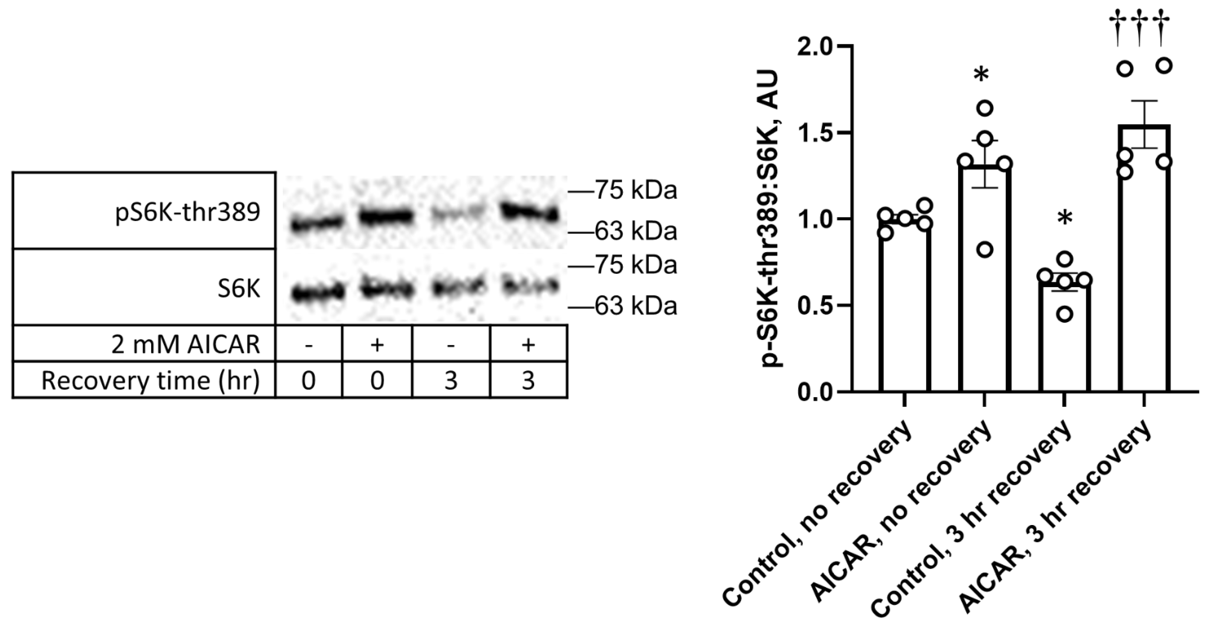 Cimb 45 00508 g005 Cimb 45 00508 g005