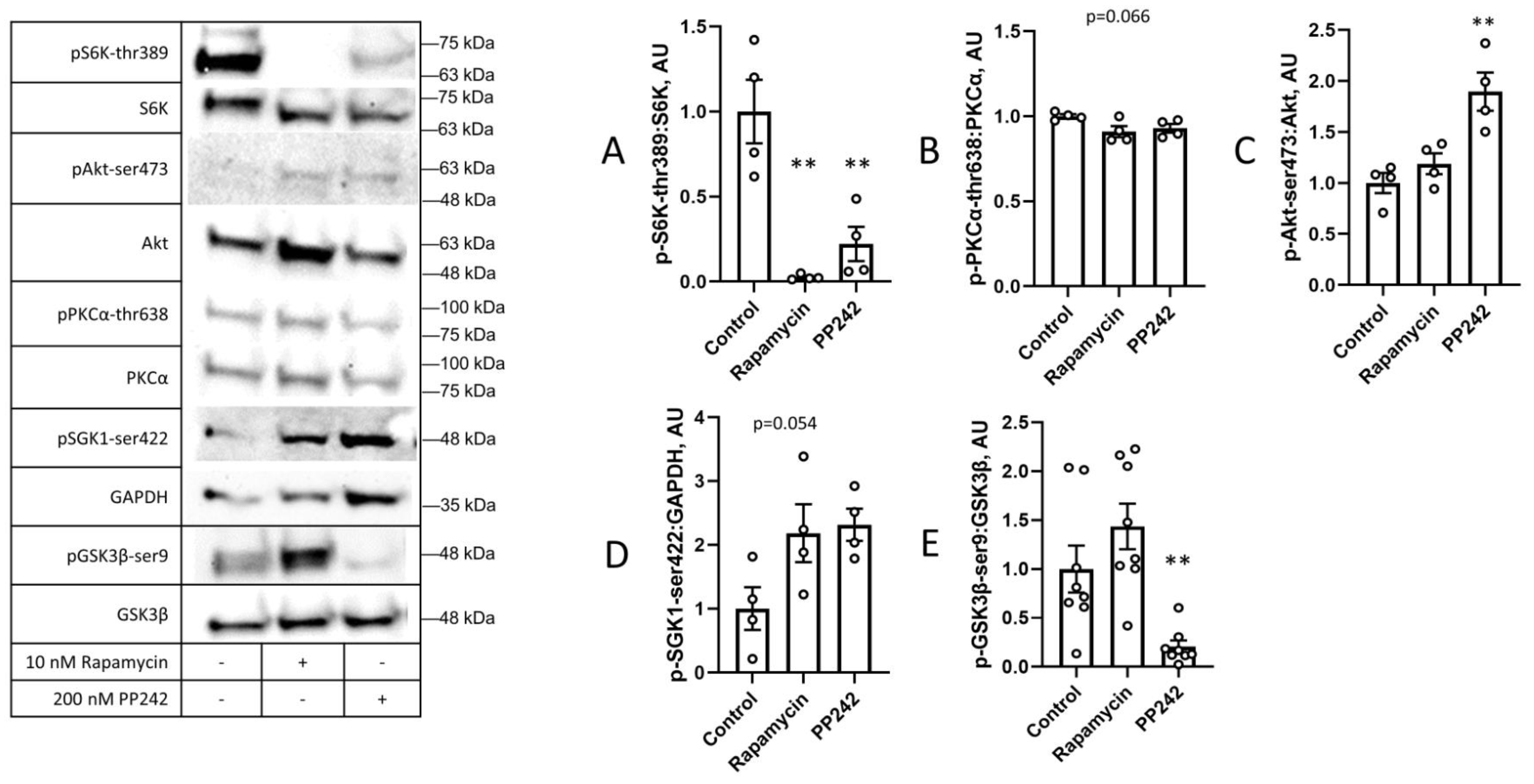 Cimb 45 00508 g006 Cimb 45 00508 g006