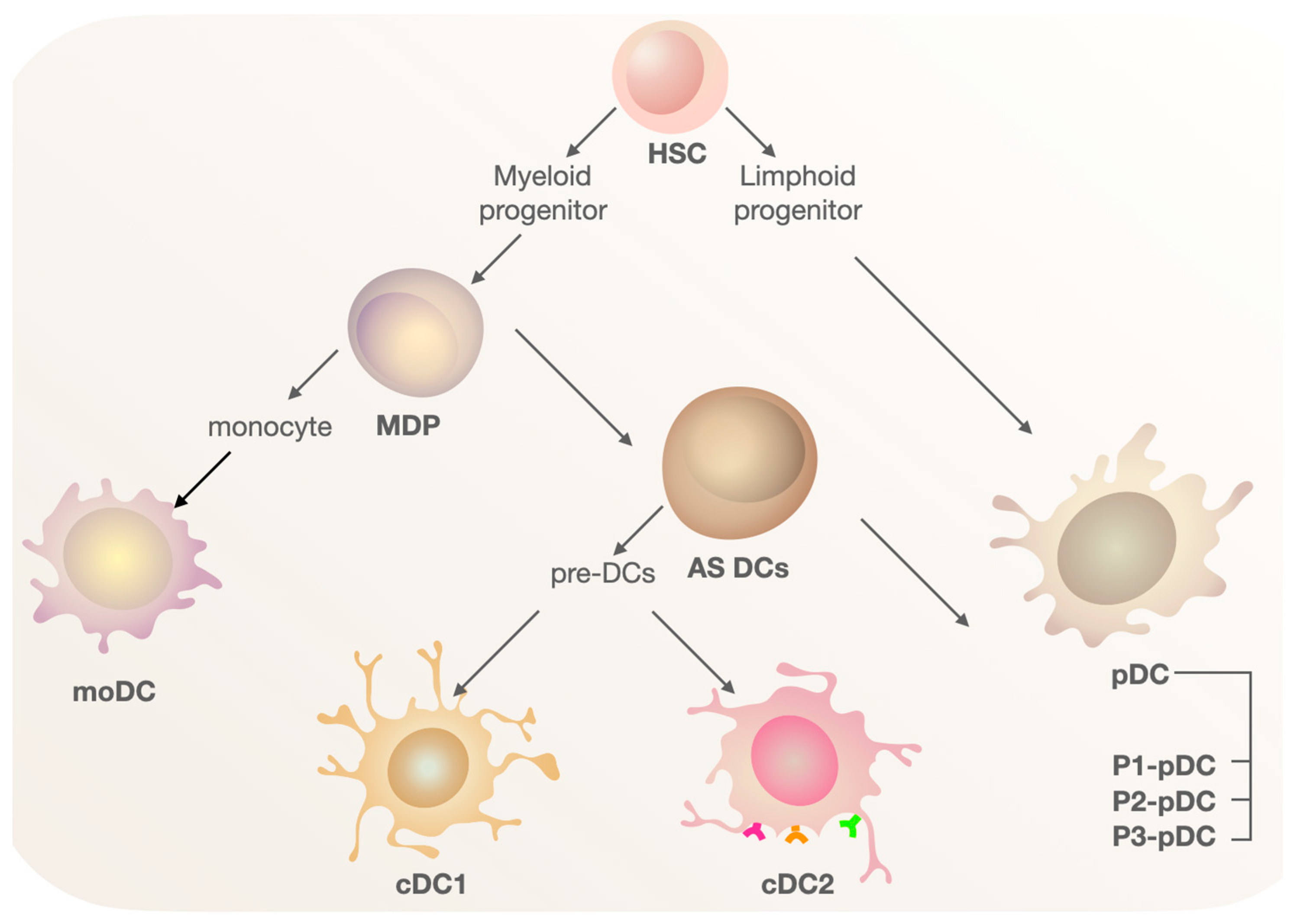 Cimb 45 00509 g001 Cimb 45 00509 g001