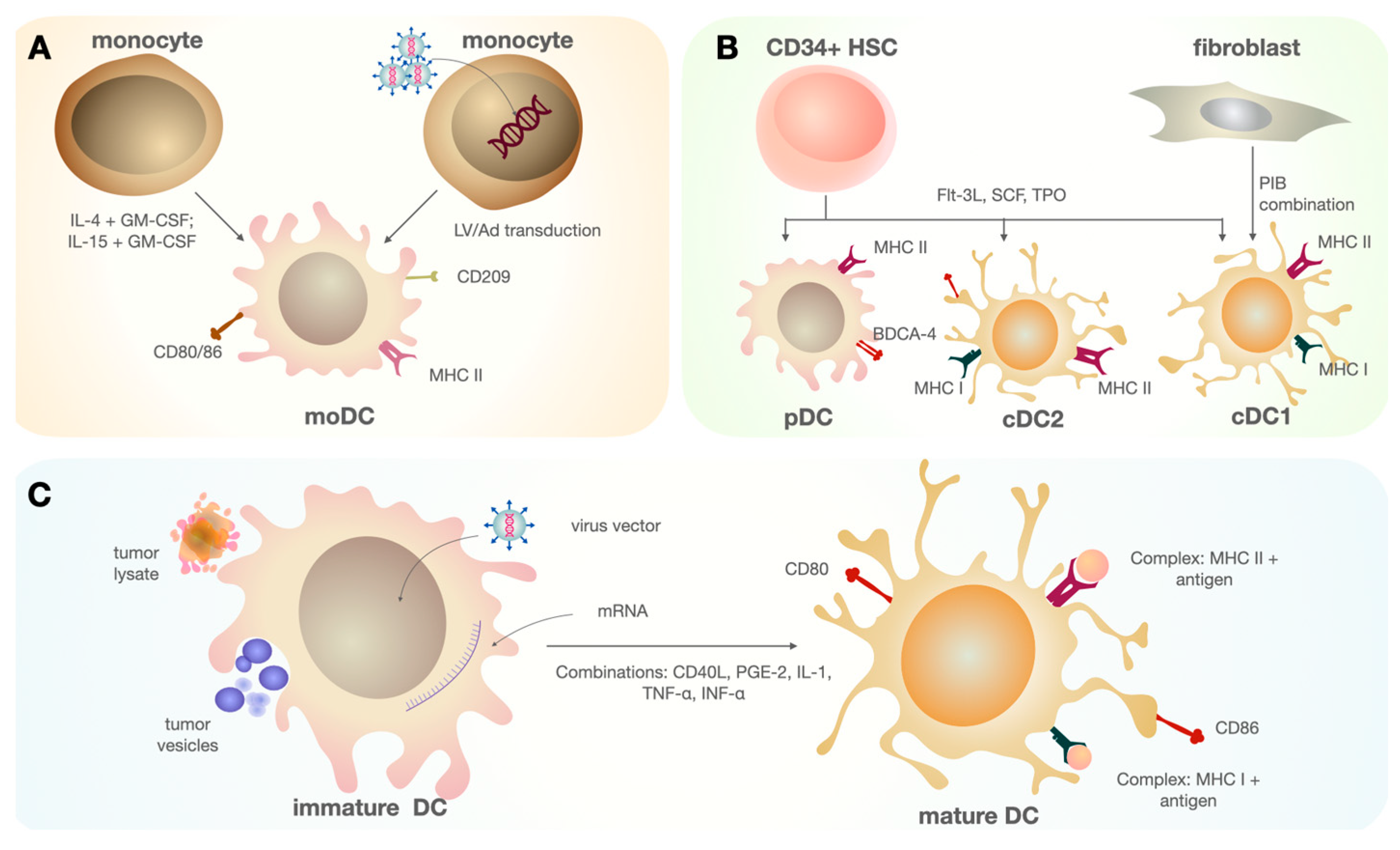 Cimb 45 00509 g002 Cimb 45 00509 g002