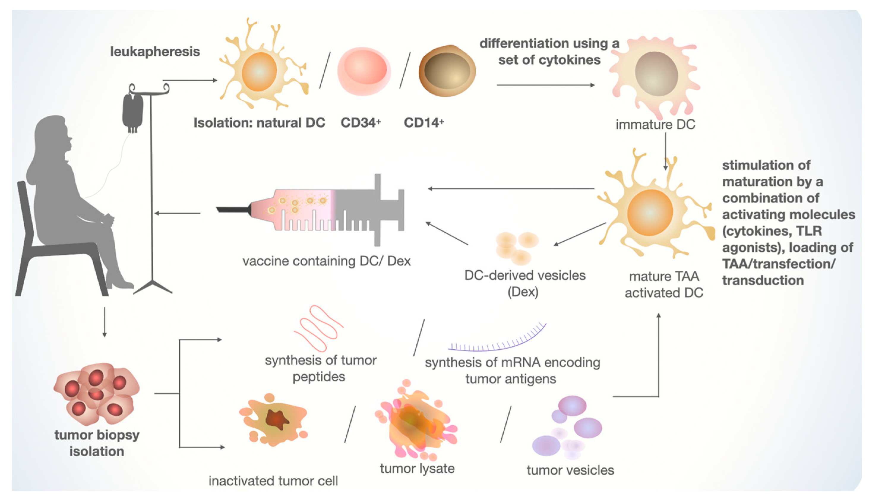 Cimb 45 00509 g003 Cimb 45 00509 g003