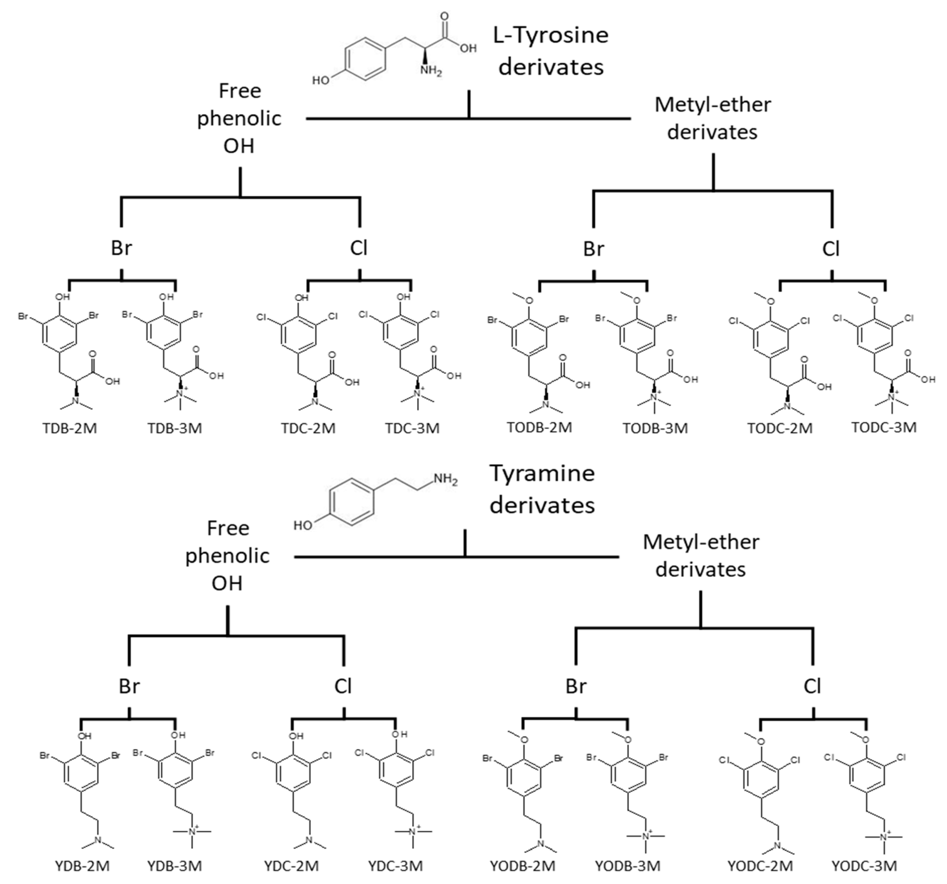 Cimb 45 00516 g001 Cimb 45 00516 g001