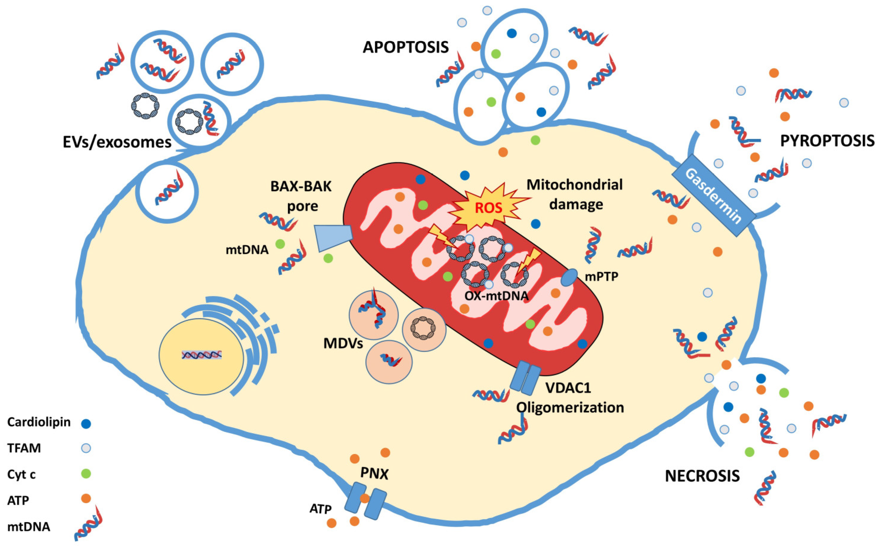 Cimb 45 00540 g001 Cimb 45 00540 g001