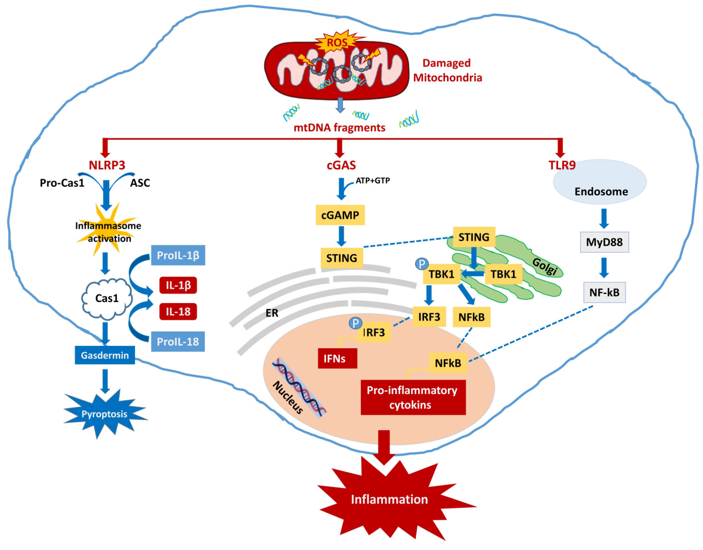 Cimb 45 00540 g002 Cimb 45 00540 g002