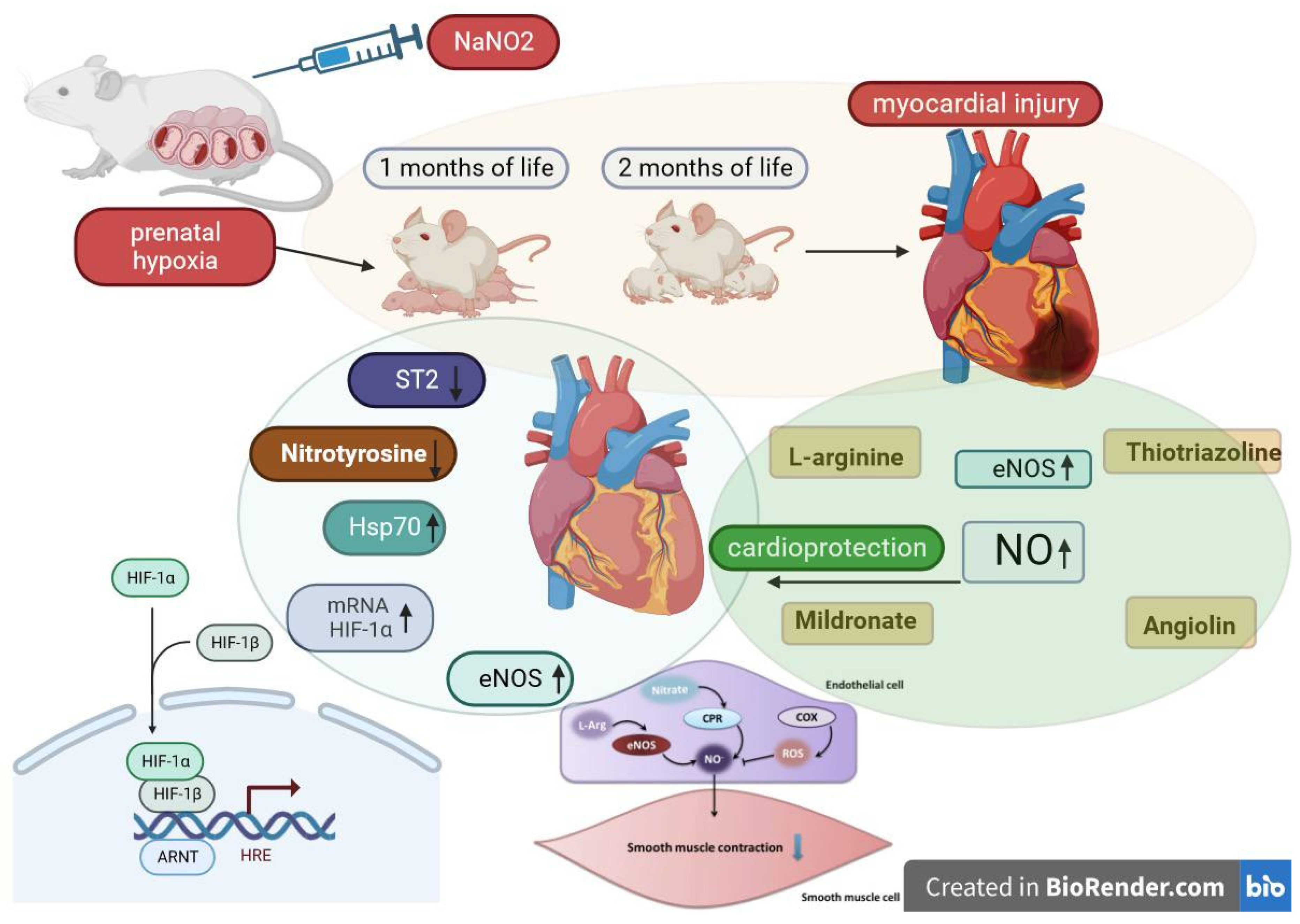Cimb 45 00547 g001 Cimb 45 00547 g001