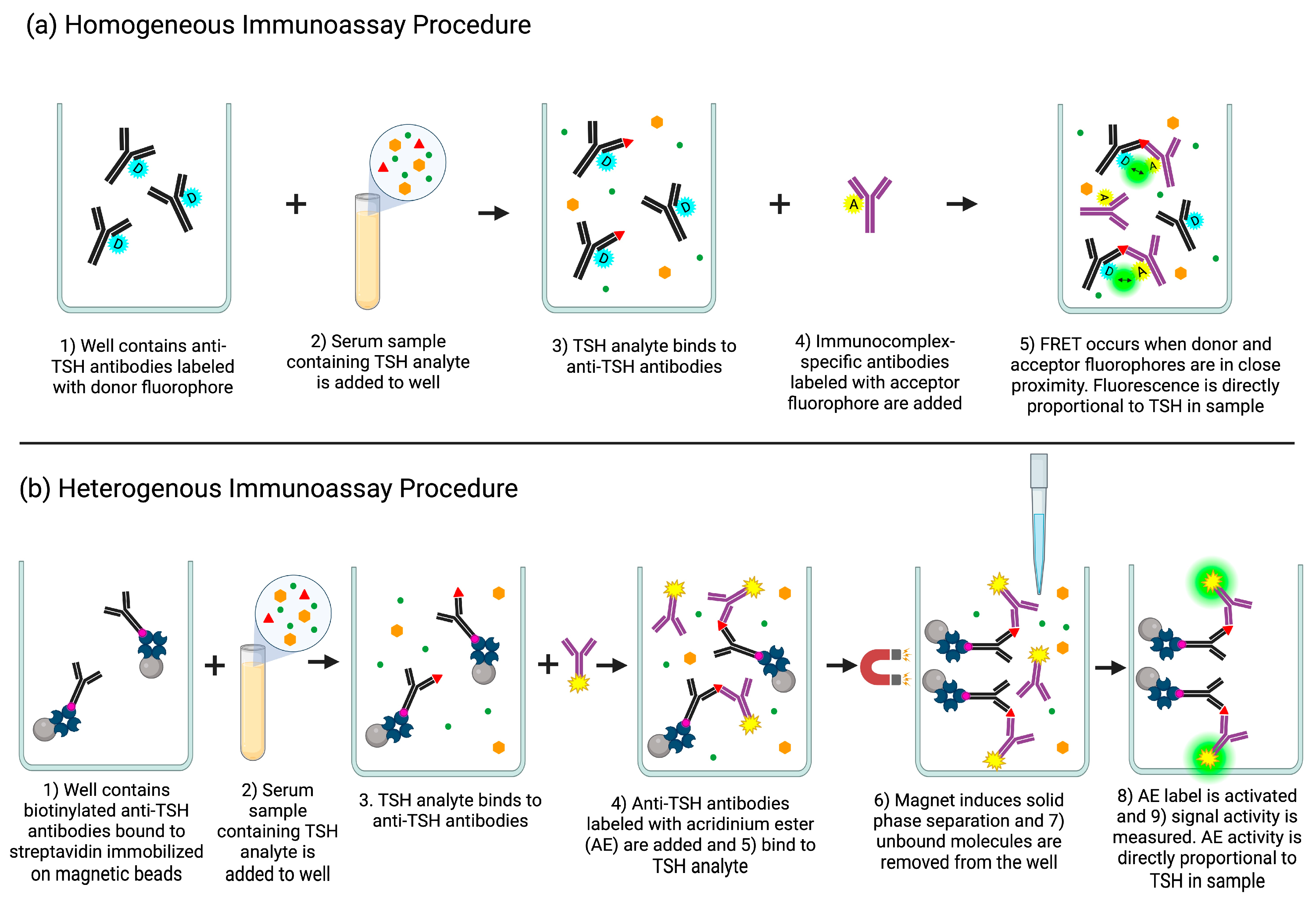 CIMB Free FullText An Analysis of the Biotin(Strept)avidin System