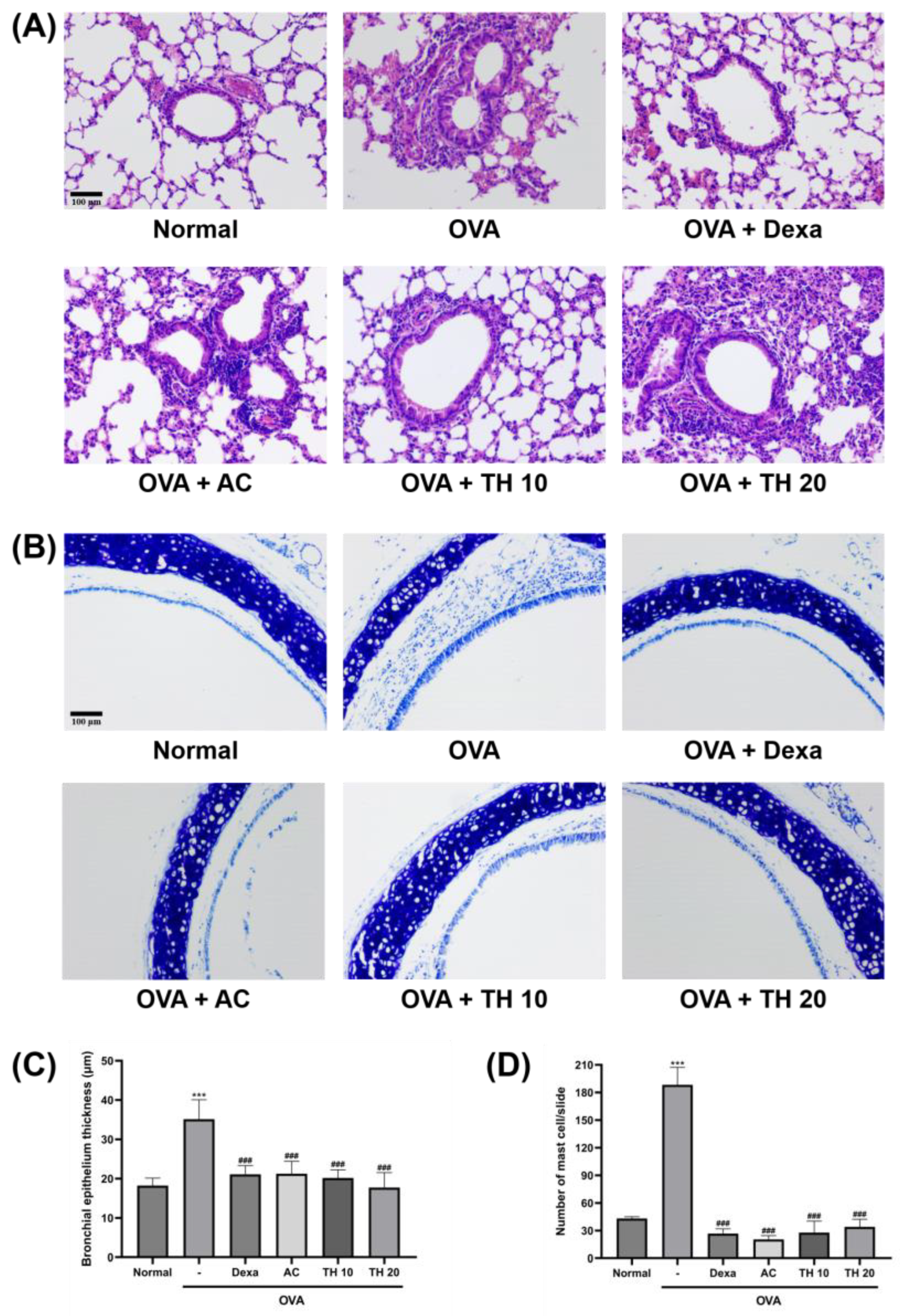 Cimb 45 00557 g001 Cimb 45 00557 g001