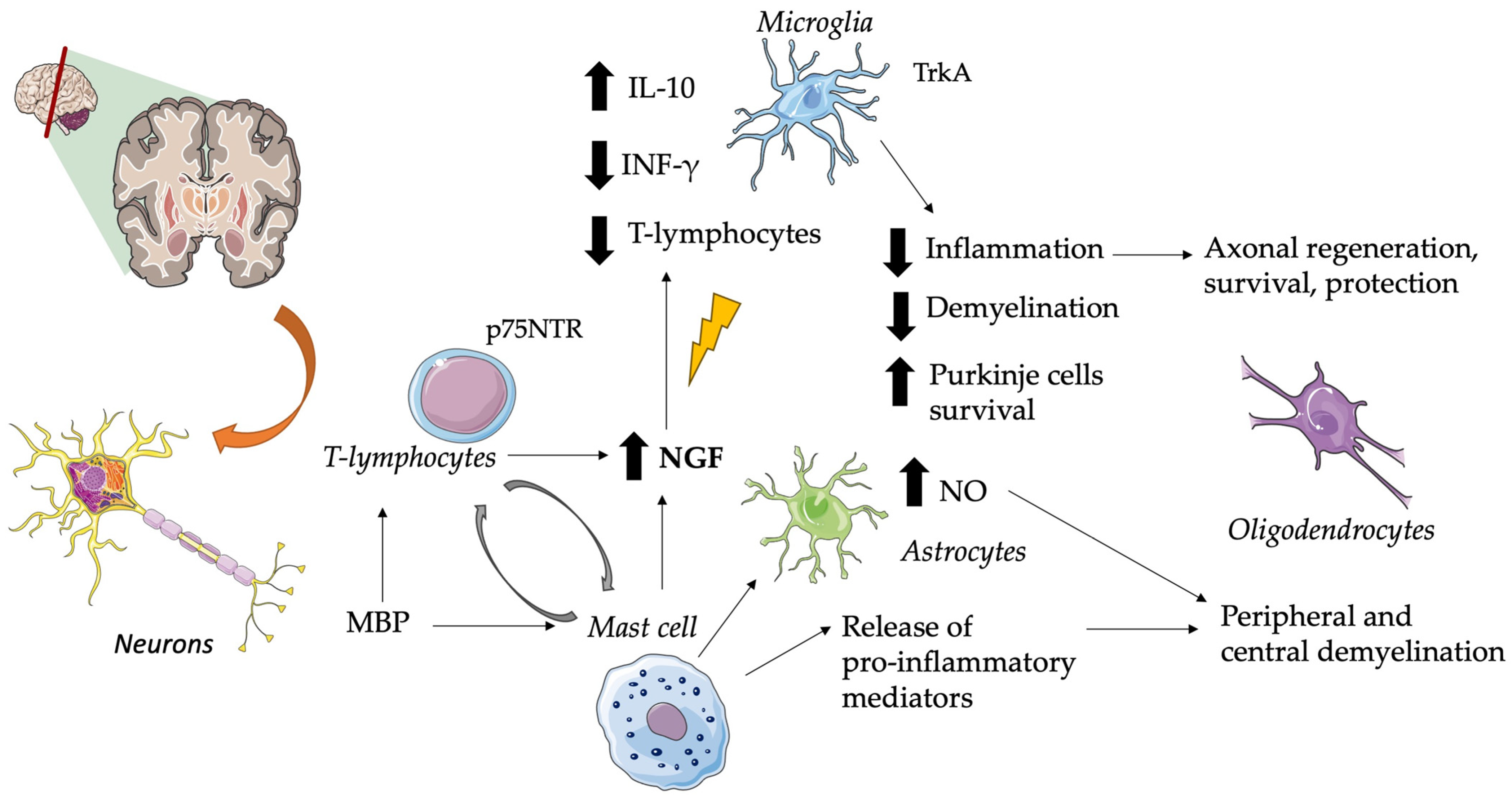 Cimb 45 00562 g002 Cimb 45 00562 g002